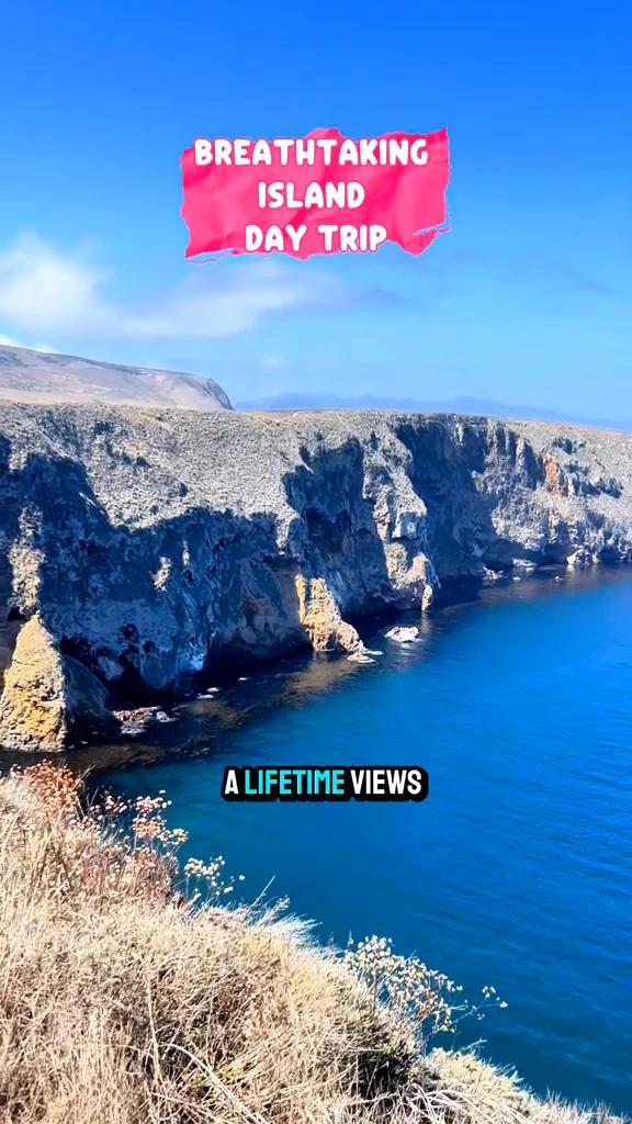 Channel Islands Day Trip