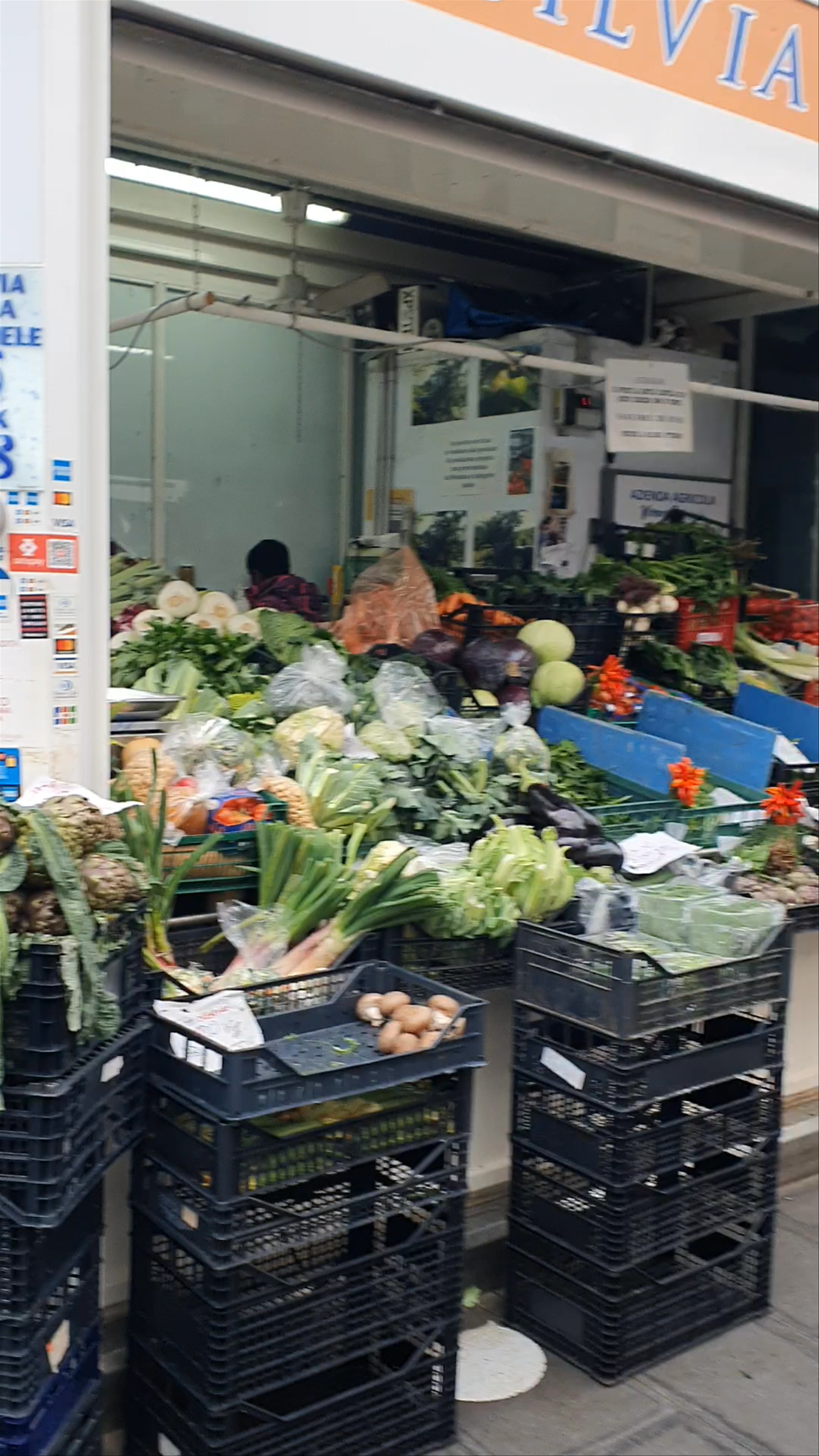 Mercato di Testaccio