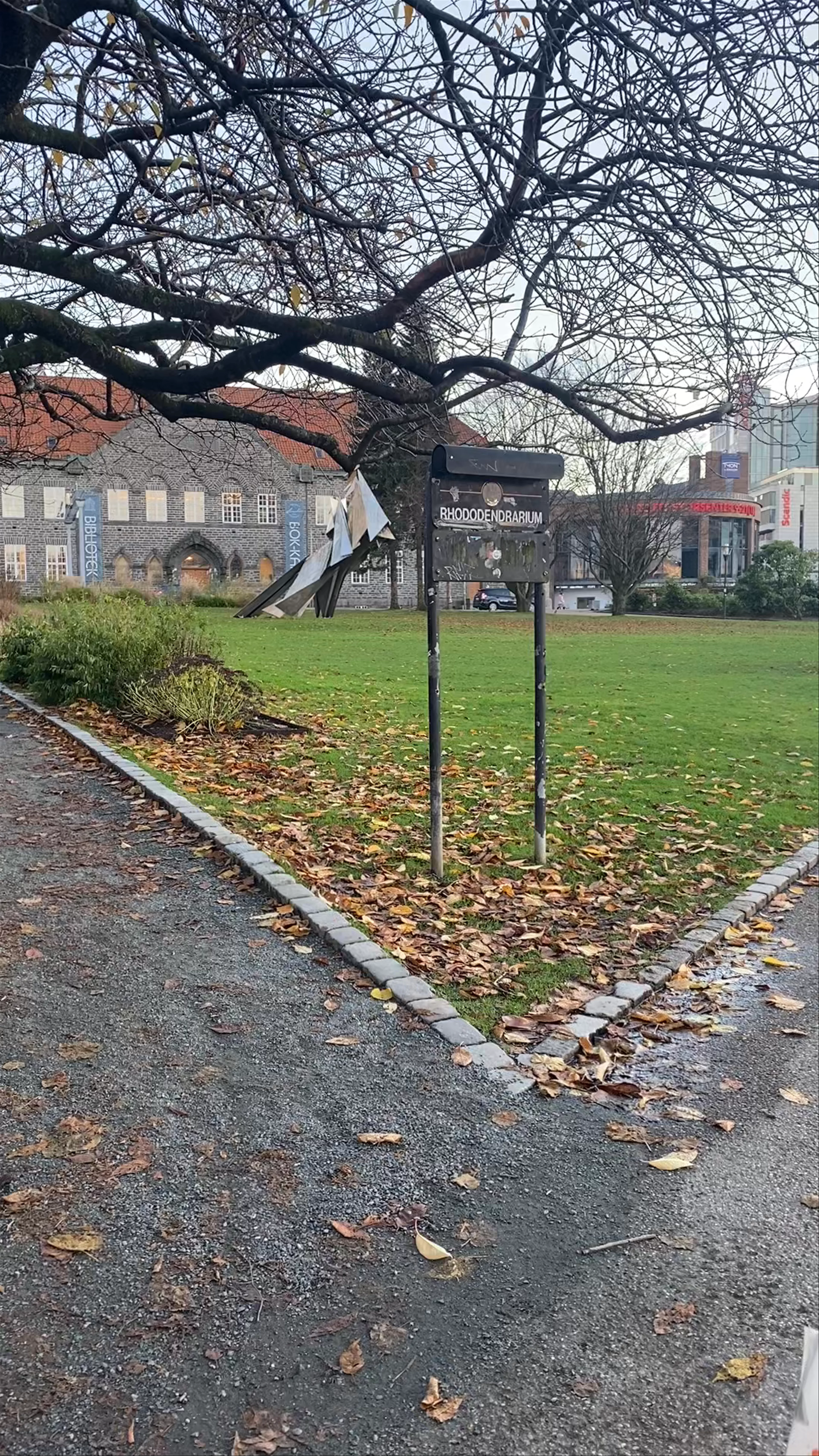 Stålskulptur av kong Olav Kyrre, Strømgaten, Bergen, Norway