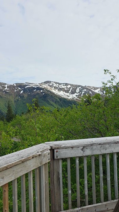 Alpine Loop Trail - A beautiful view from Mt. Roberts trail - Hiking Near Me - Juneau, Alaska