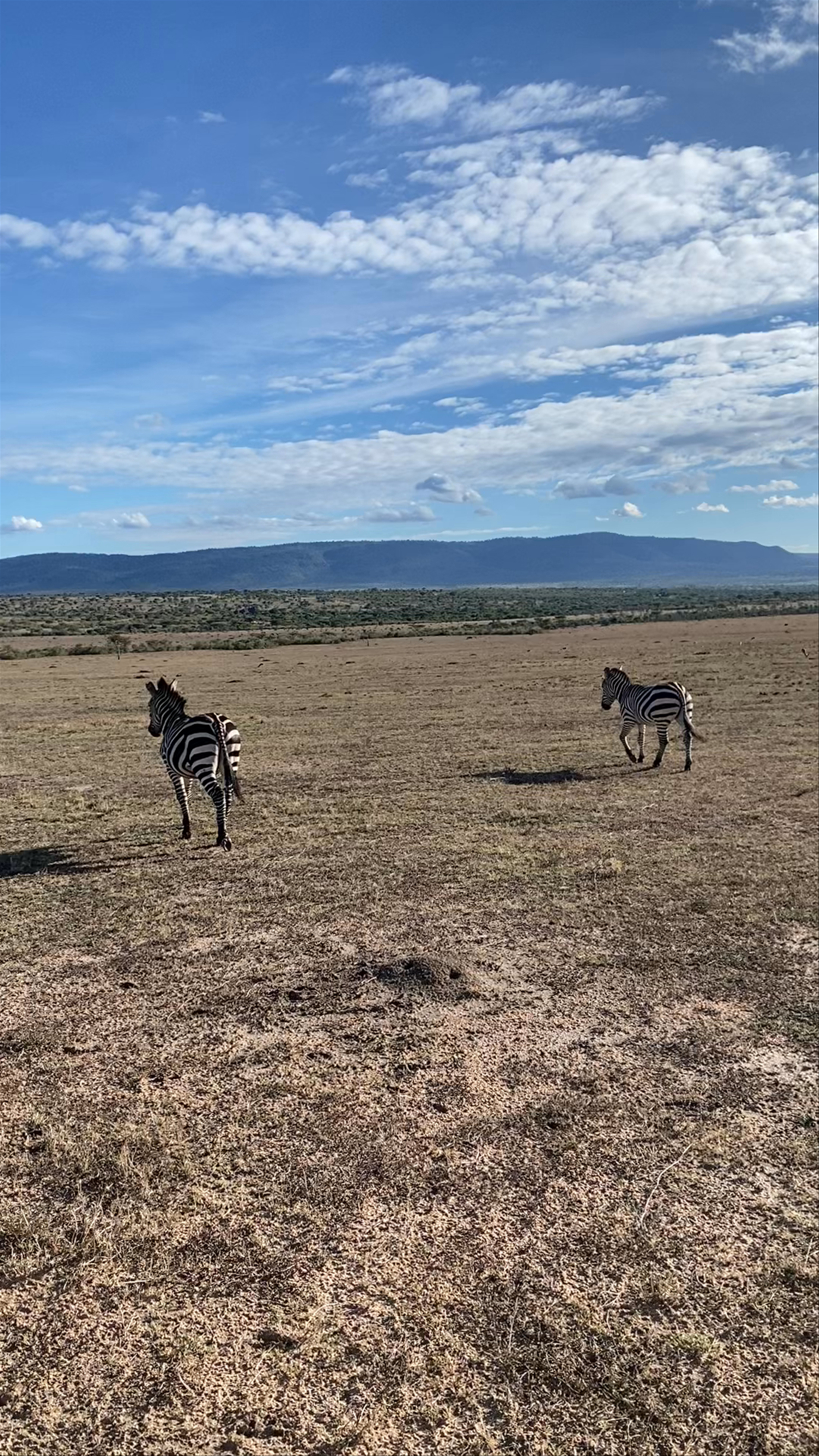 Masai Mara National Reserve