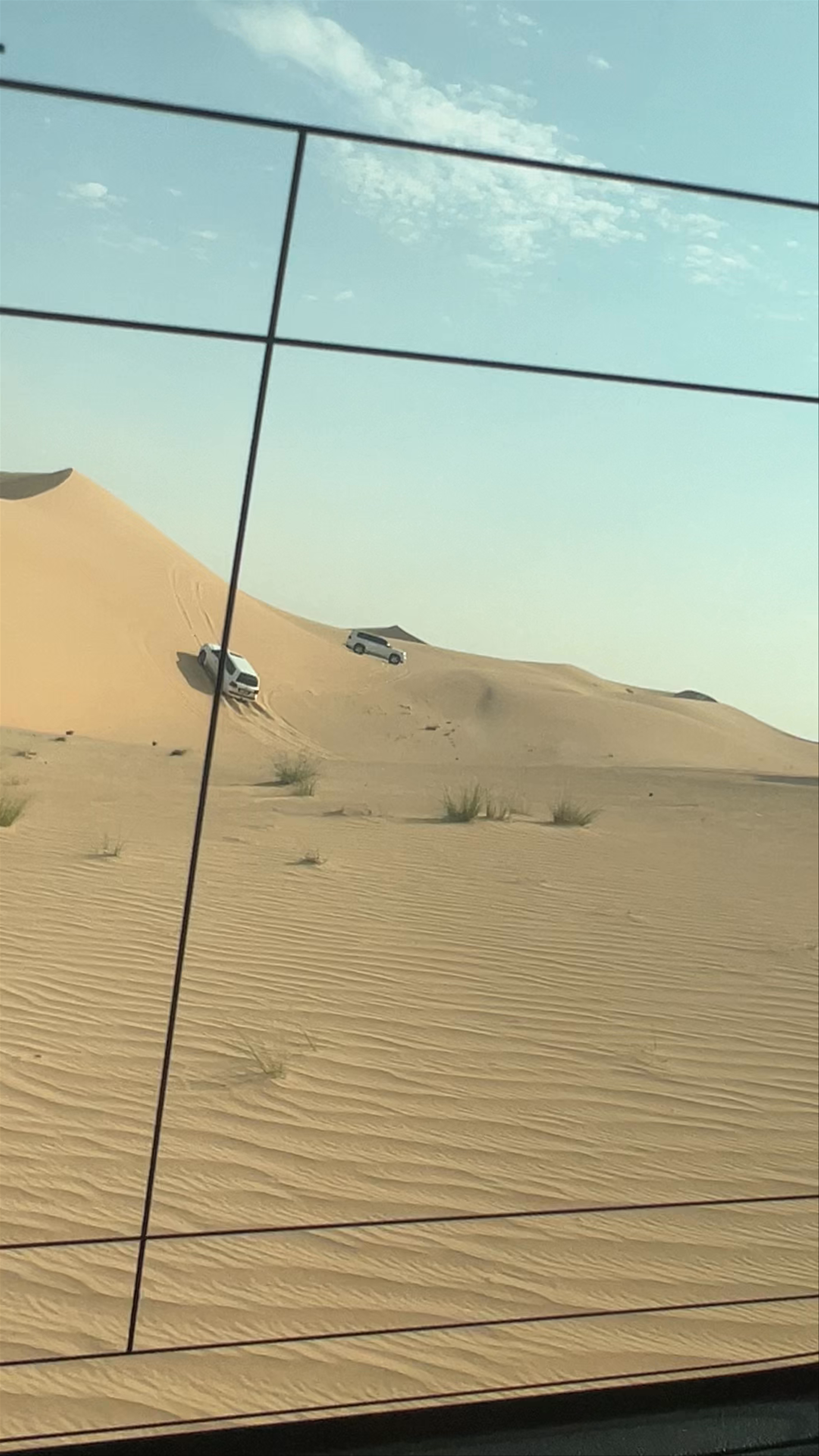 Dubai Desert Safari - Abu Dhabi - United Arab Emirates