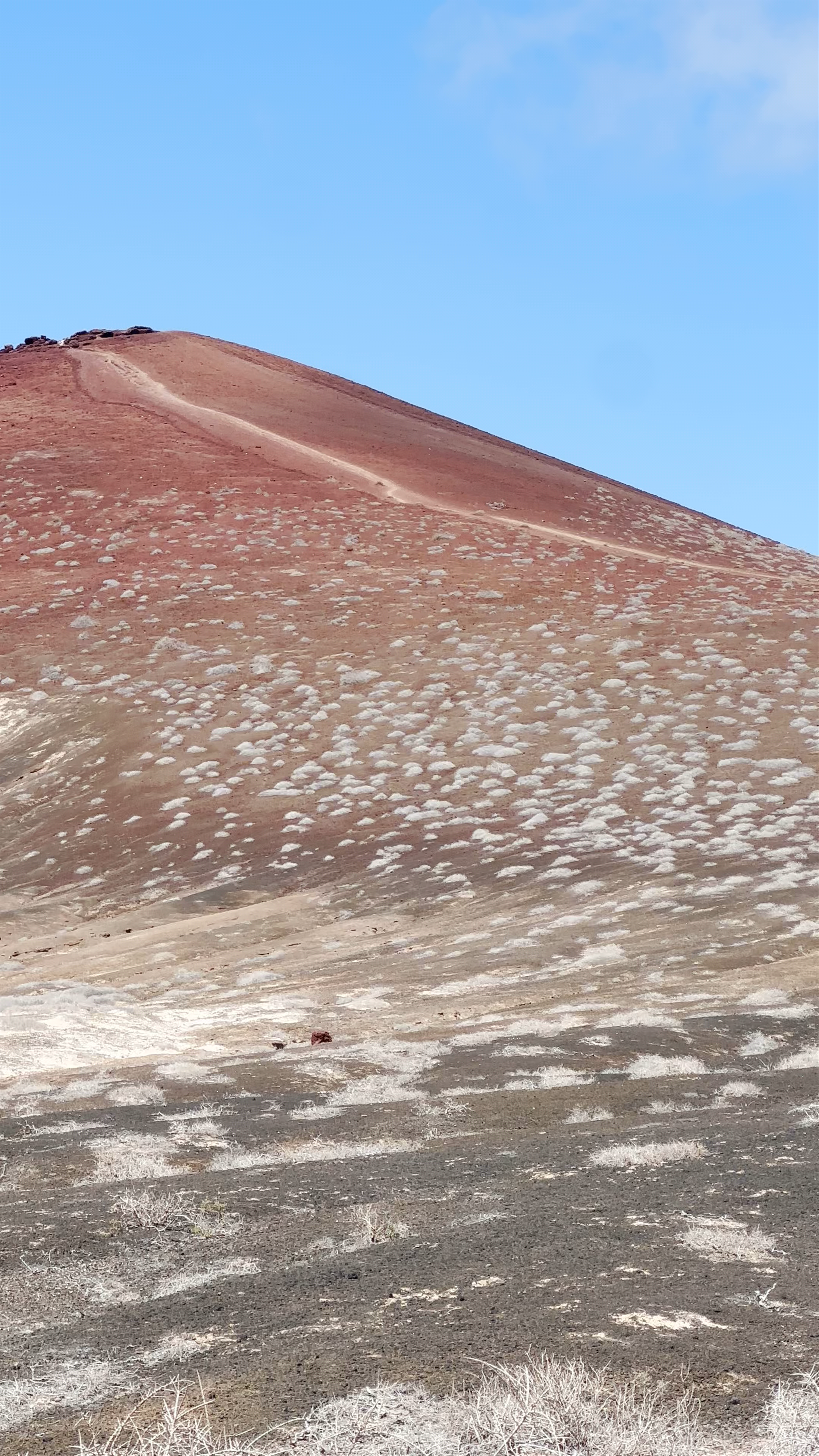 Montaña Bermeja
