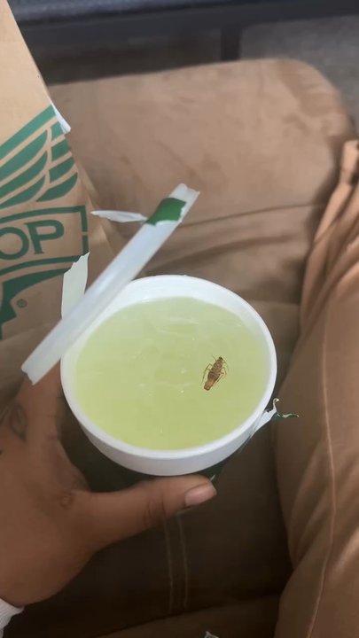 Wingstop - Chicken Wings Near Me - Atlanta, Georgia