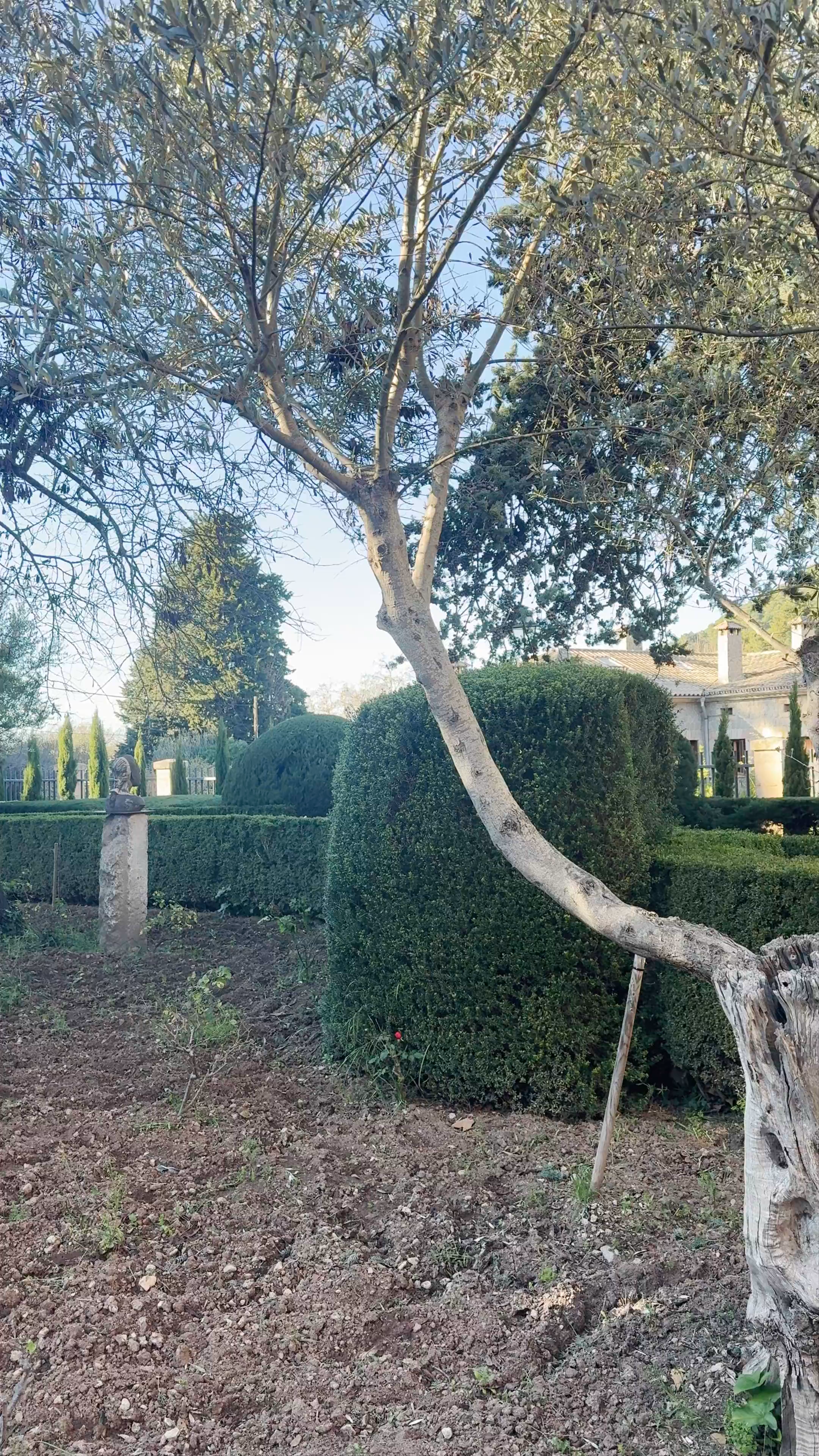 Jardins Rei Joan Carles