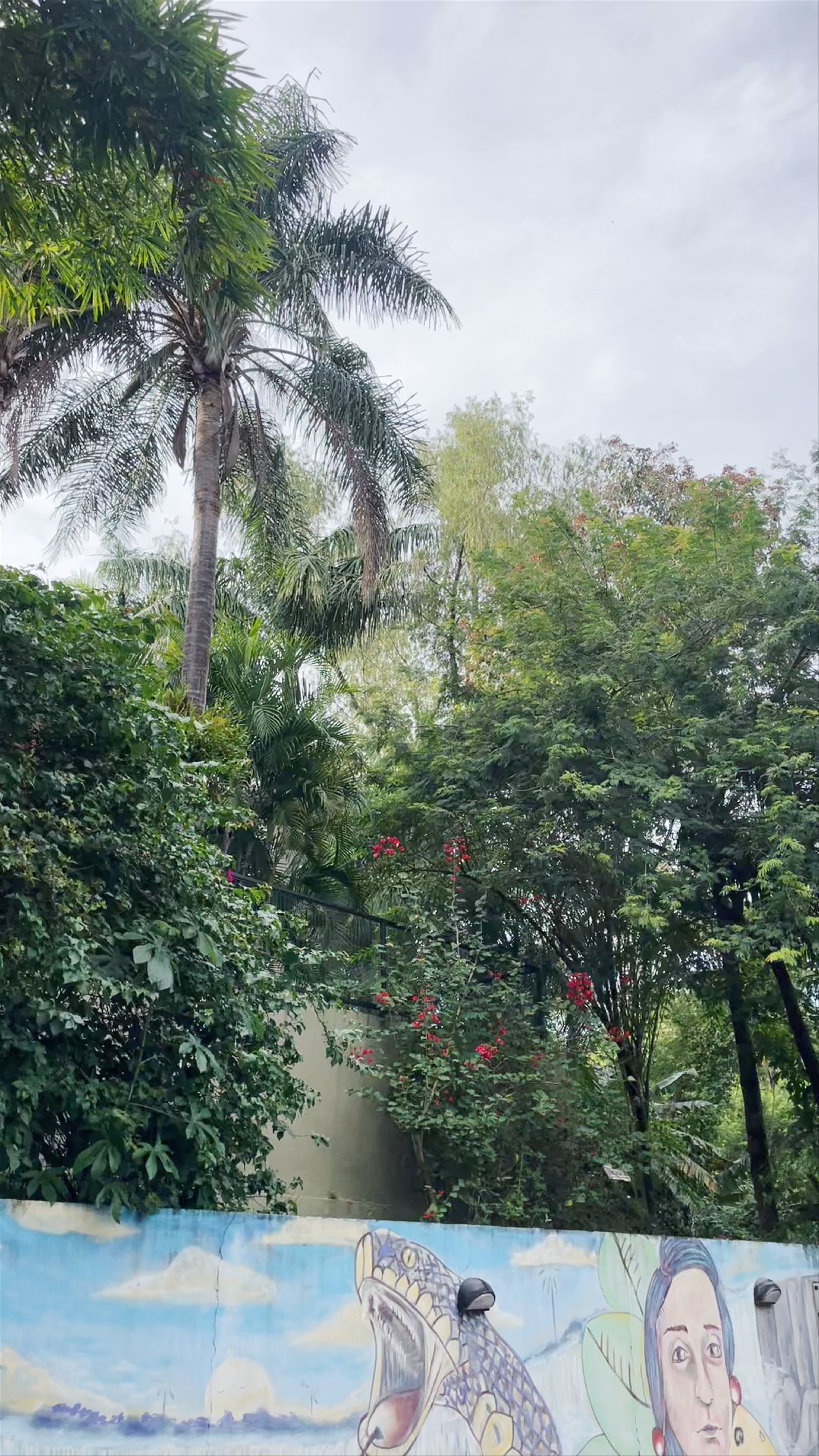 Costa del Sol Iguazú