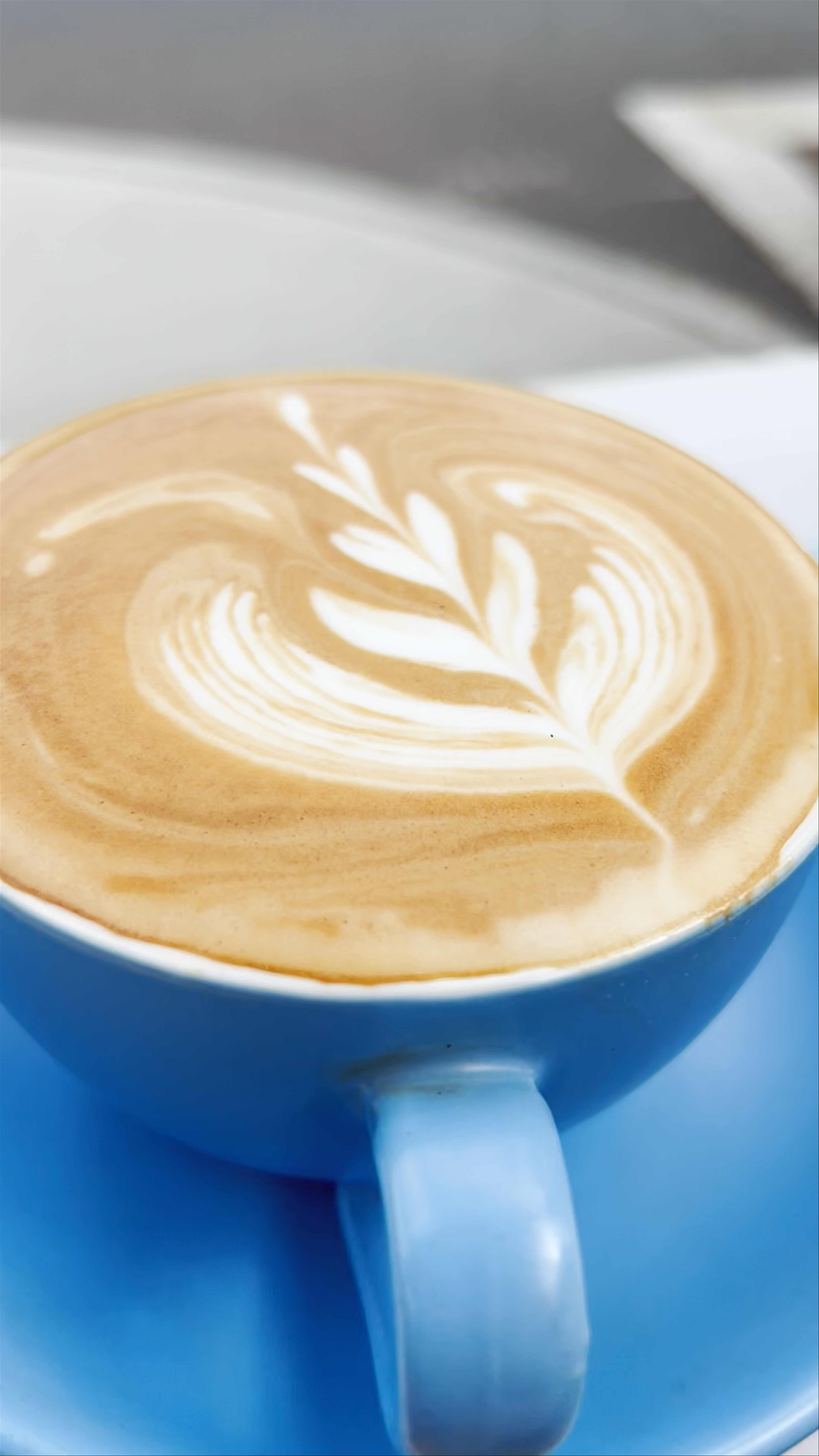 Kerfuffle on the Corner: South Fremantle’s Cozy Coffee & Pastry Moment