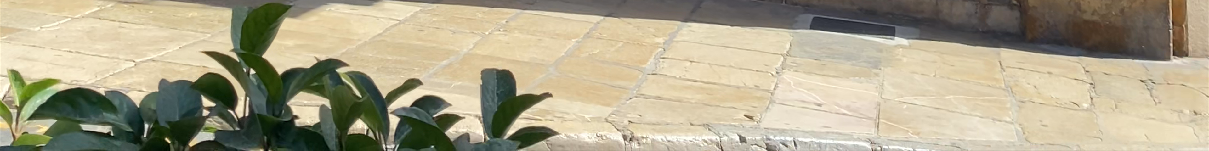 Tours & experiences in Palma