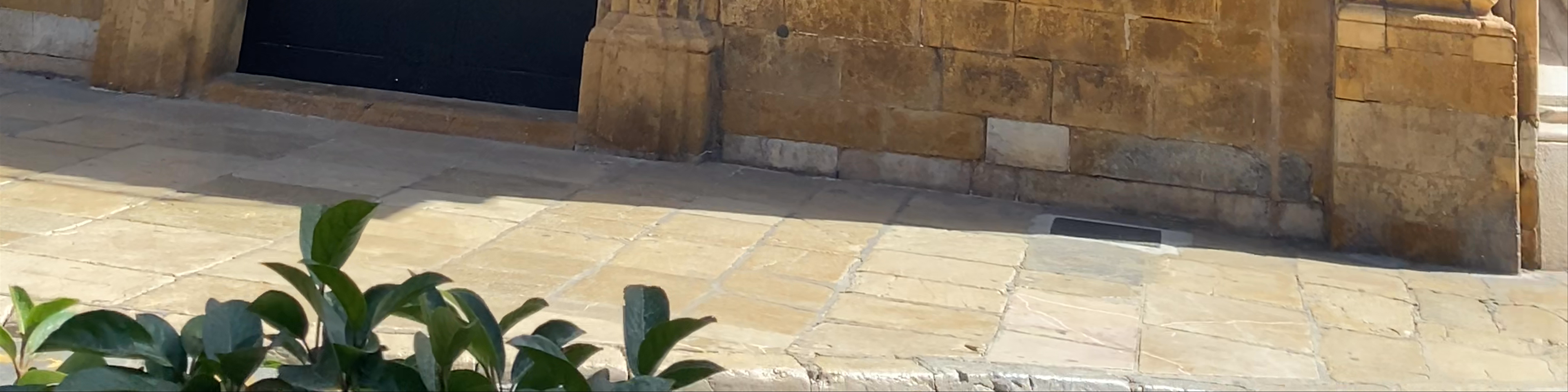 Palma