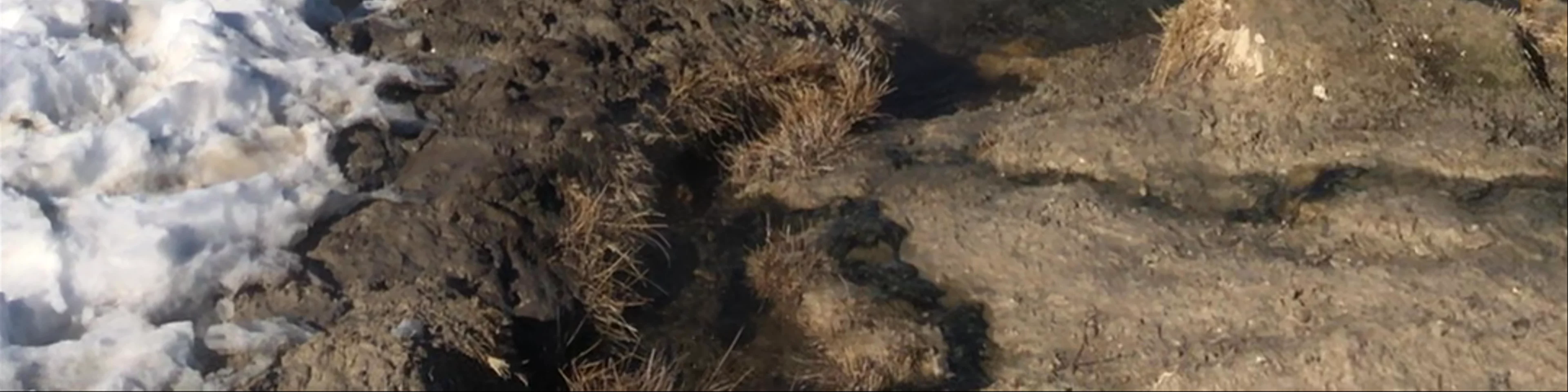 Wild Willy's Hot Spring