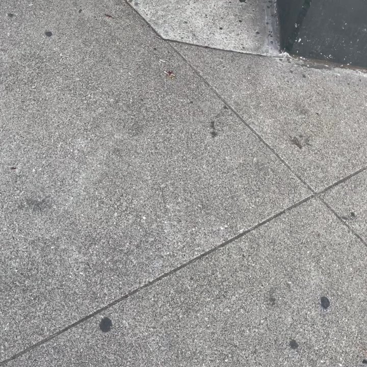Flower Corner - Video of flower store - Florists Near Me - San Francisco, California
