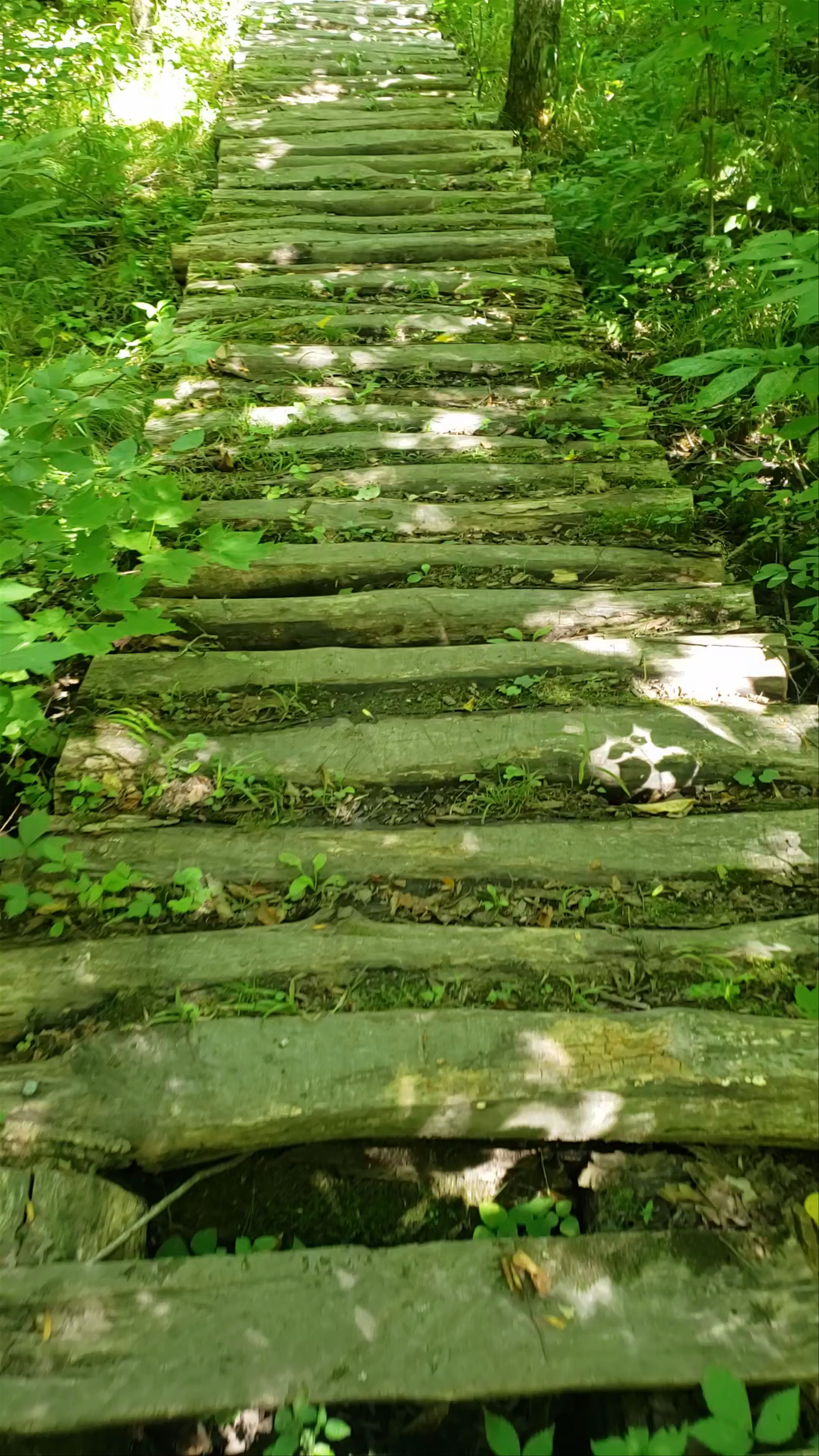 Marble Rock Conservation Area