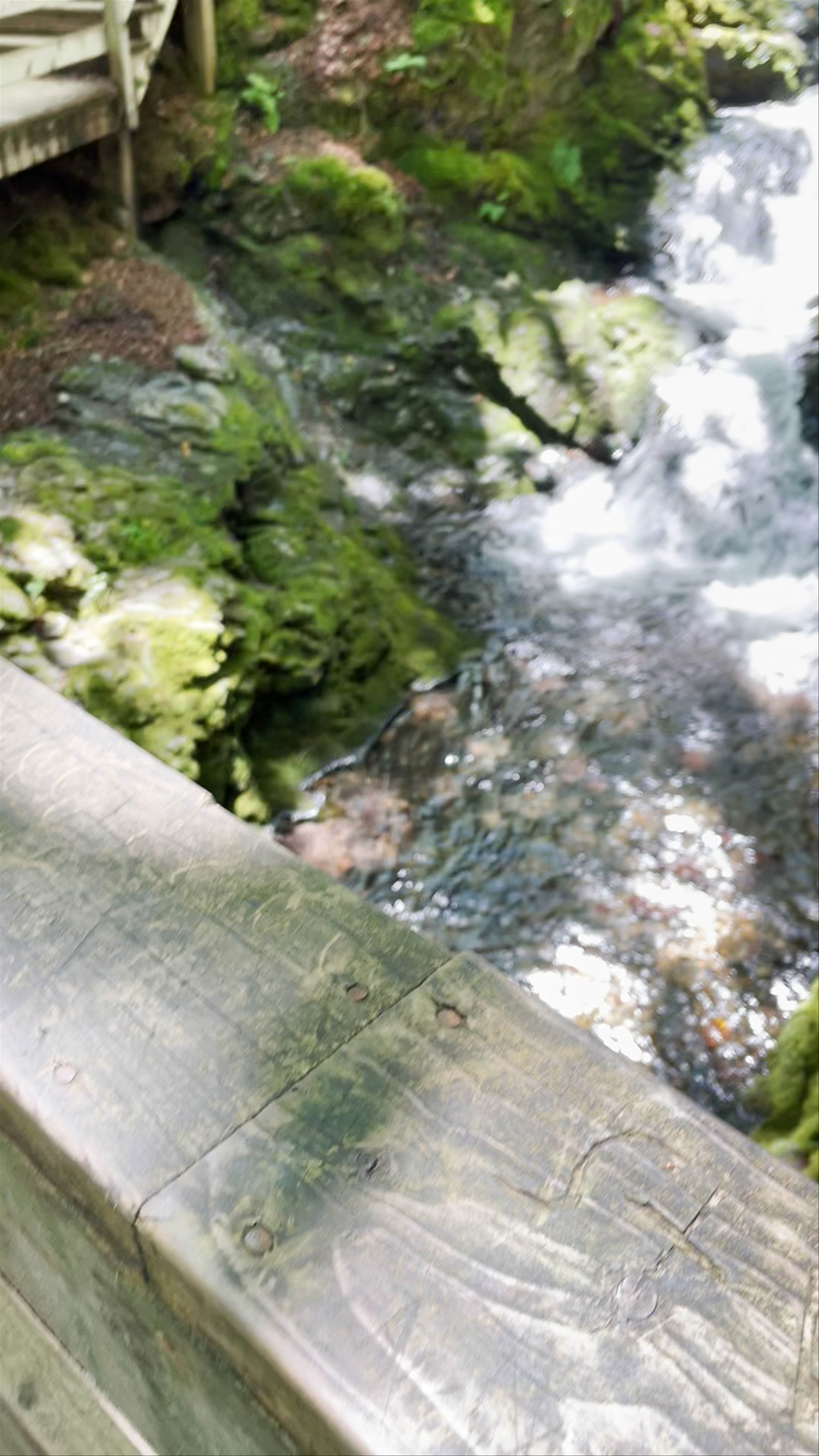 Dickson Falls Trailhead