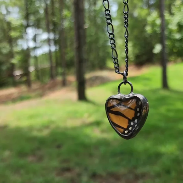 Preview image for video