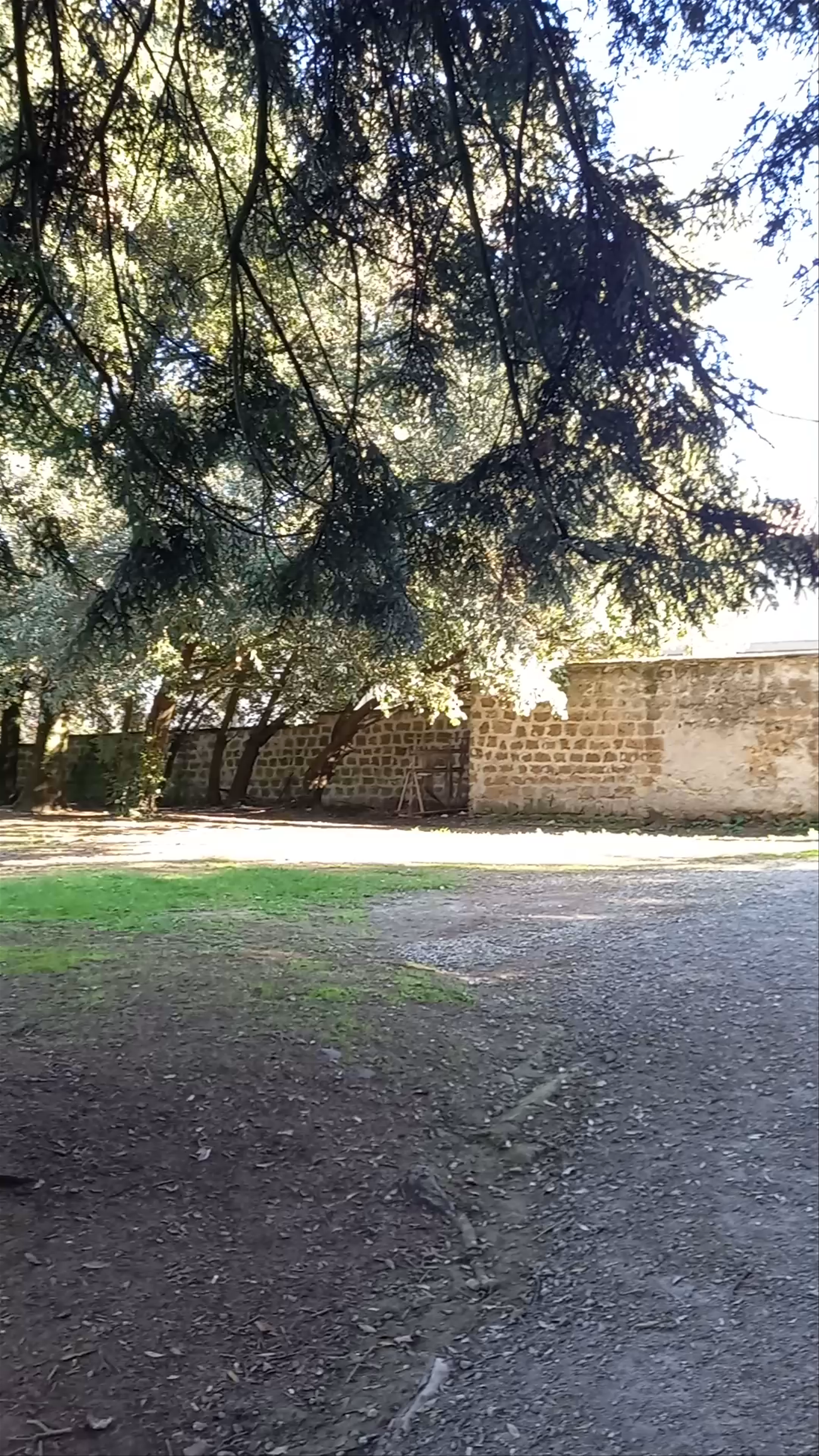 Parco di Palazzo Altieri