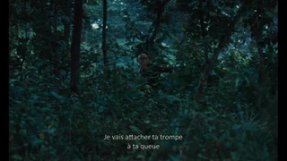 Les Éléphants dans la brume