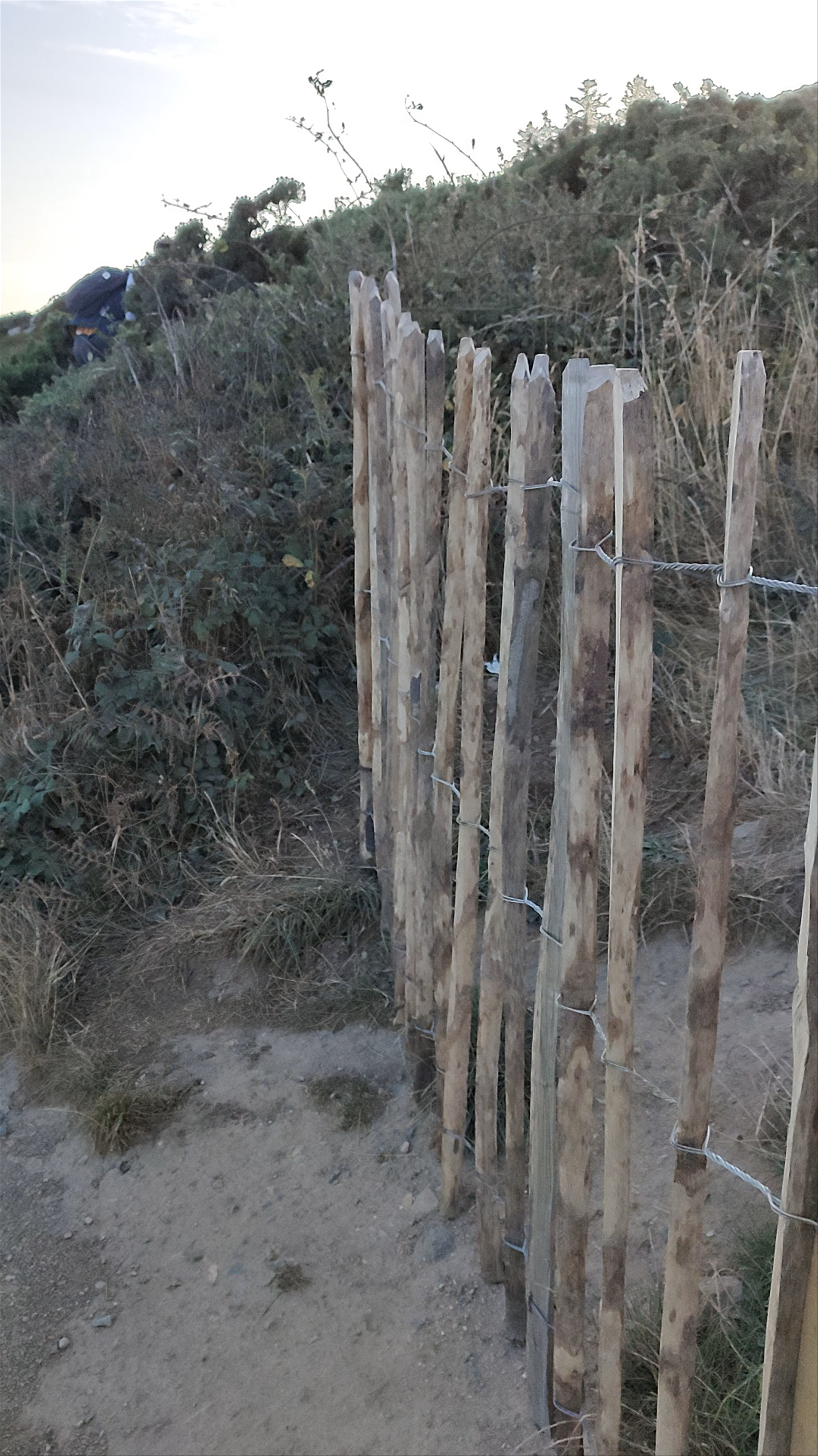 Howth Cliff Walk (Green Route)