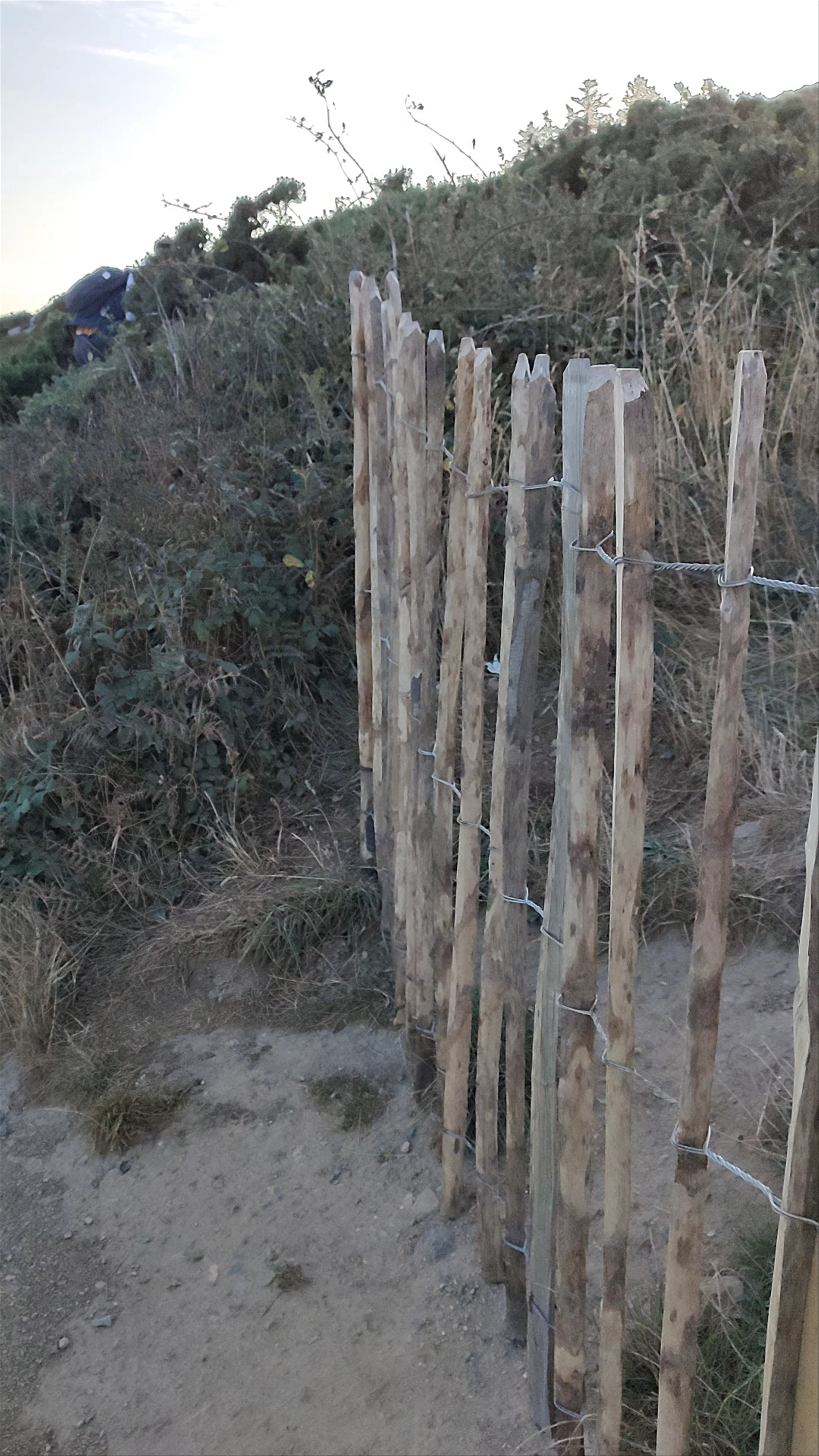 Howth Cliff Walk (Green Route)