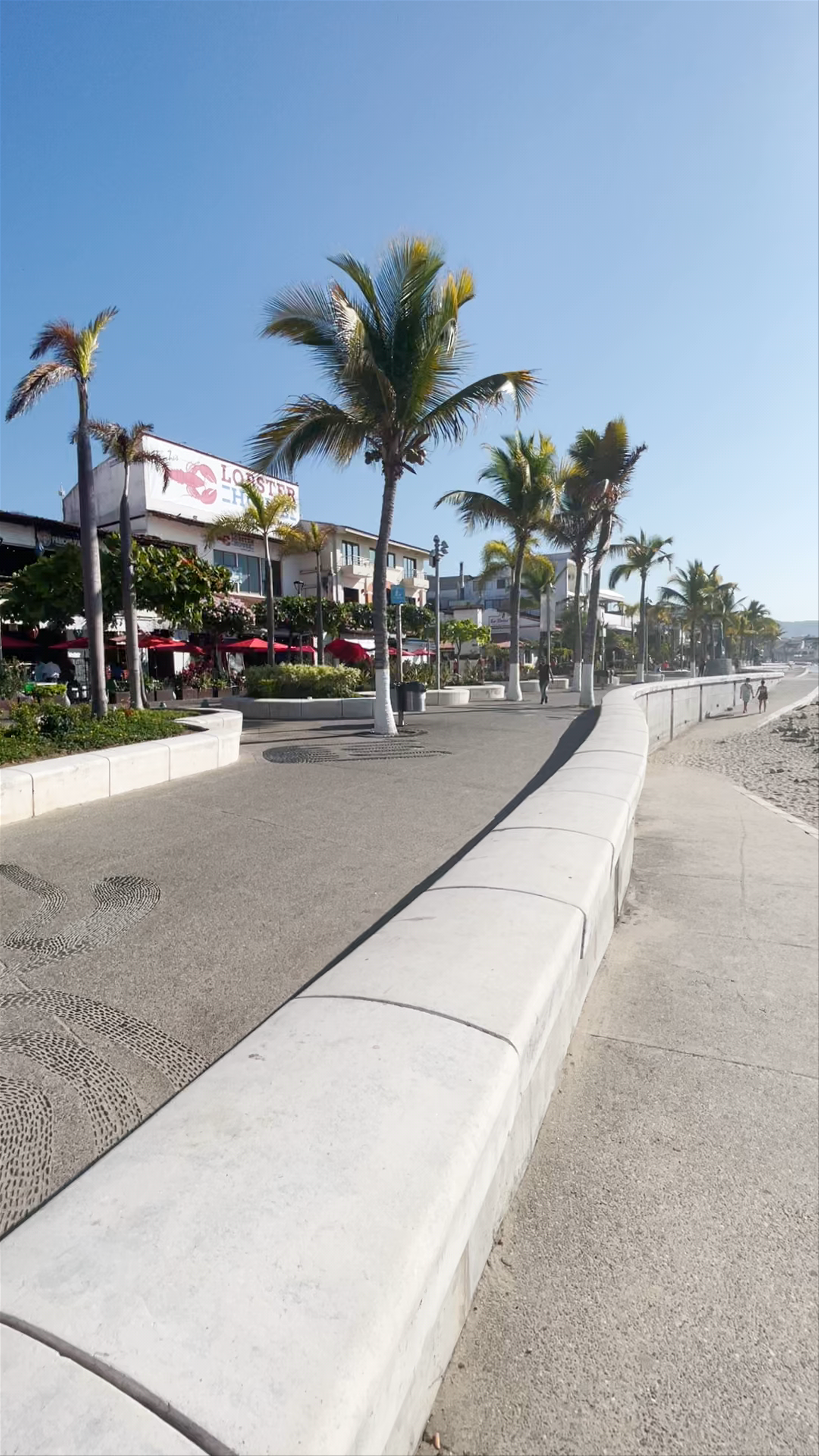 Morning Serenity at Malecon Puerto Vallarta: Beachfront Walk & Palm Trees
