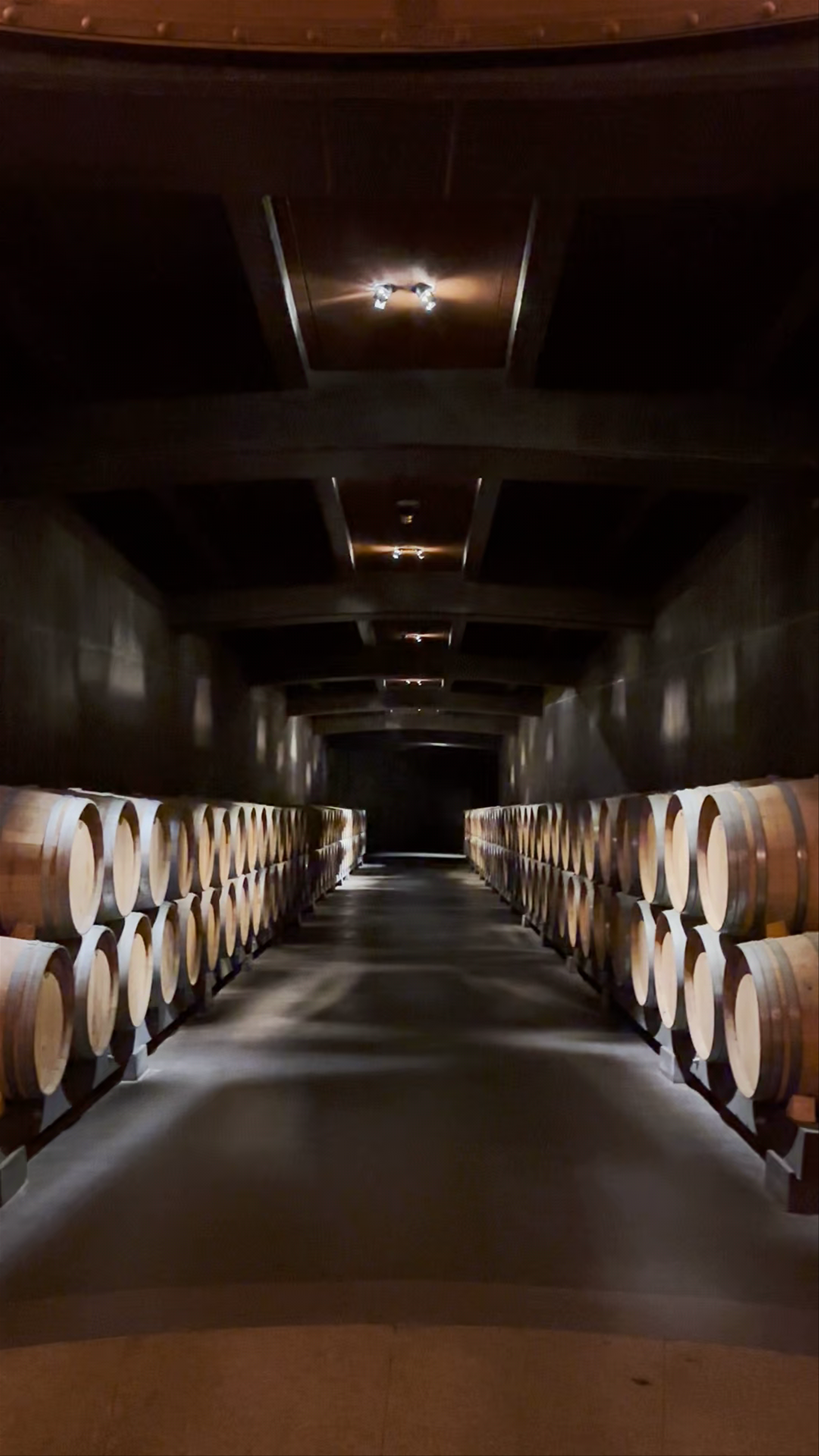 Bodegas Vivanco S.L.