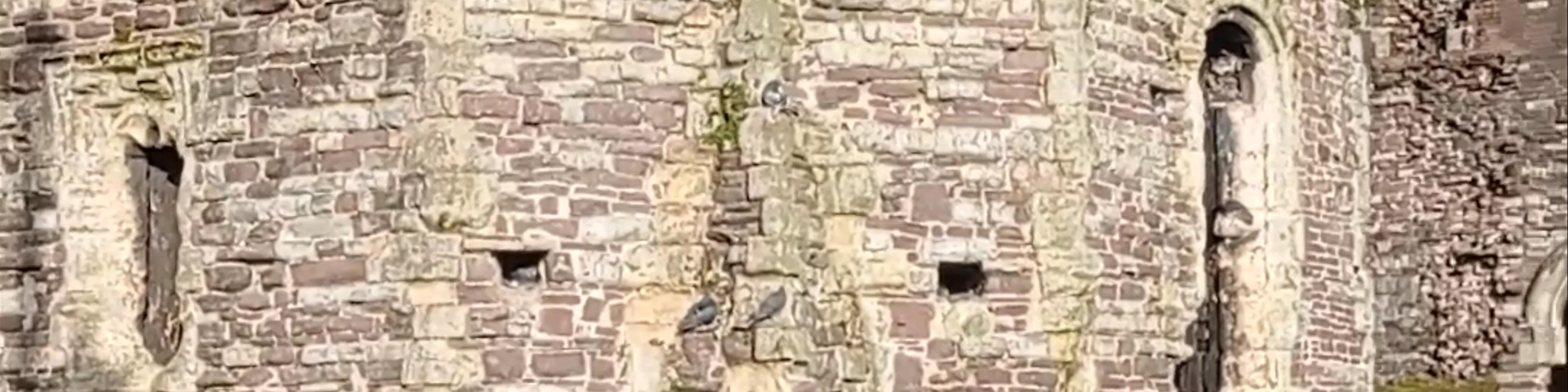 Newport Castle