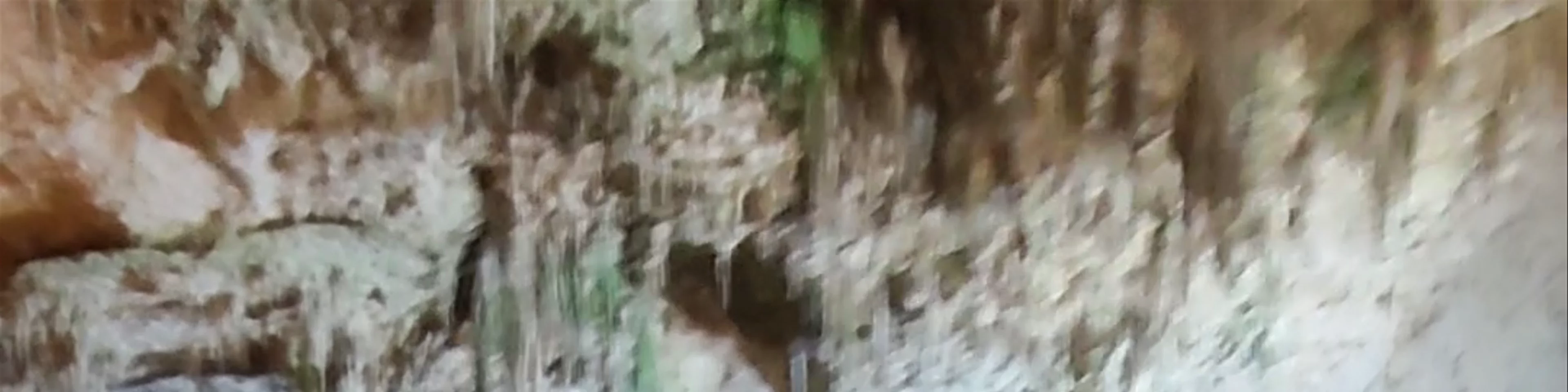 Grotta di Nettuno