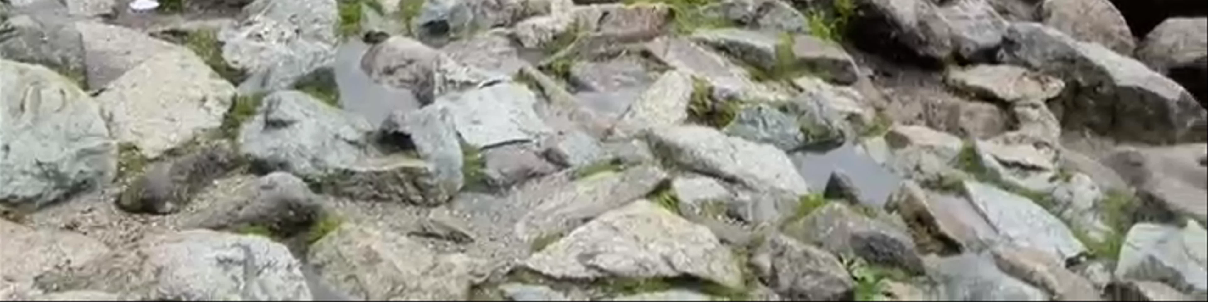 Morskie Oko