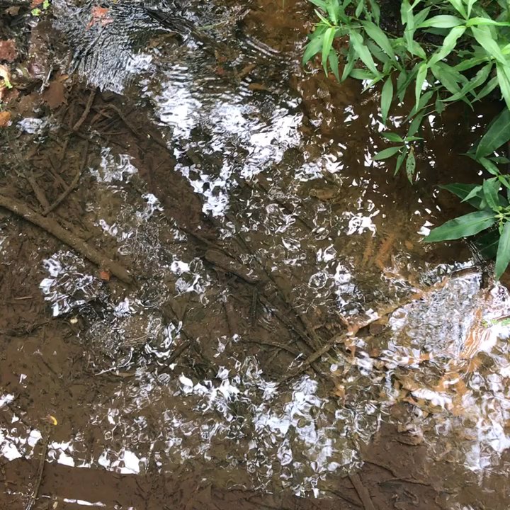 Springfield Conservation Nature Center - Parks Near Me - Springfield, Missouri