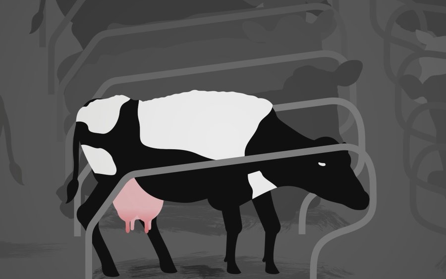 Wakker Dier – Zuivelindustrie
