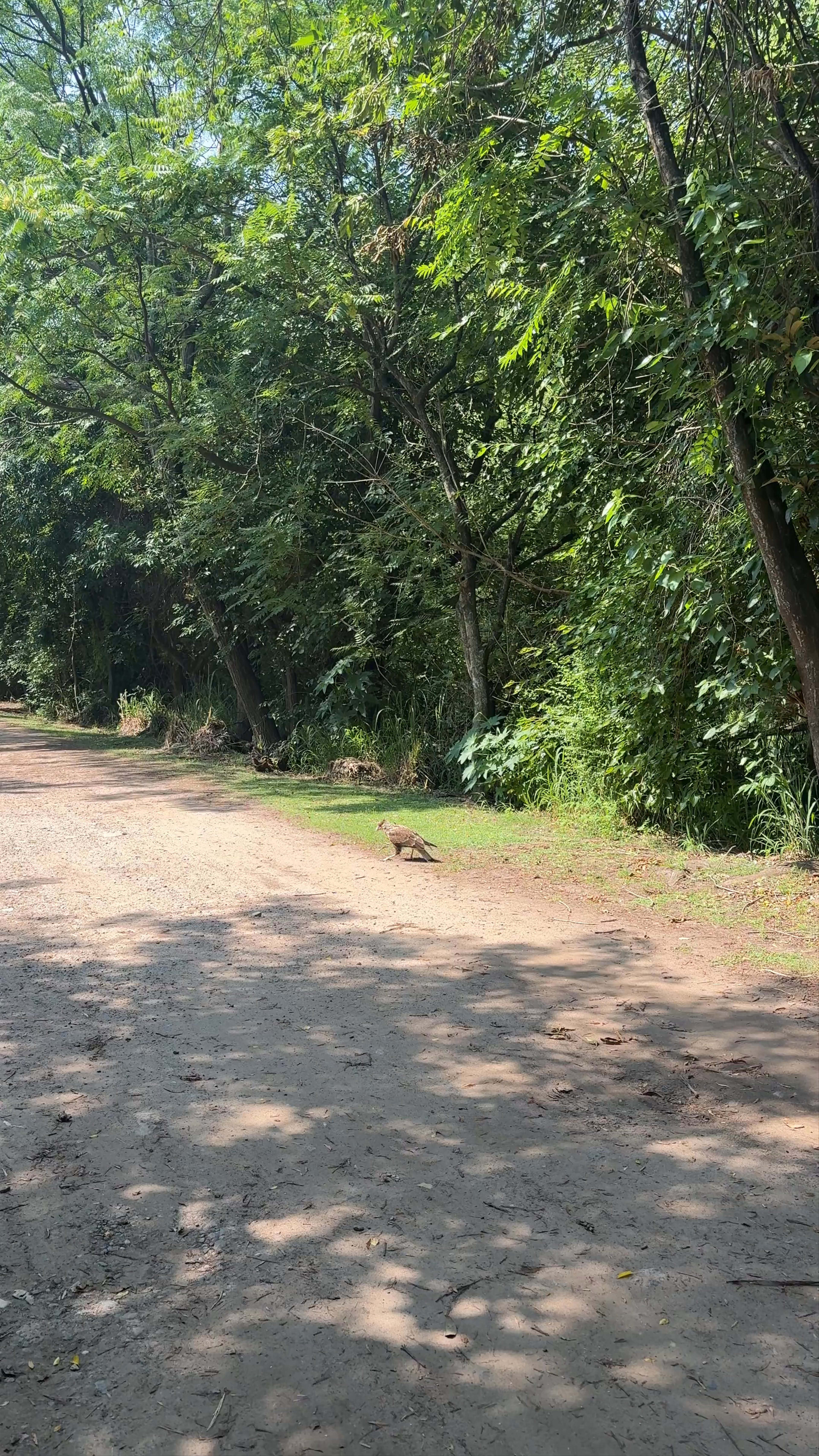 Reserva Ecológica Costanera Sur