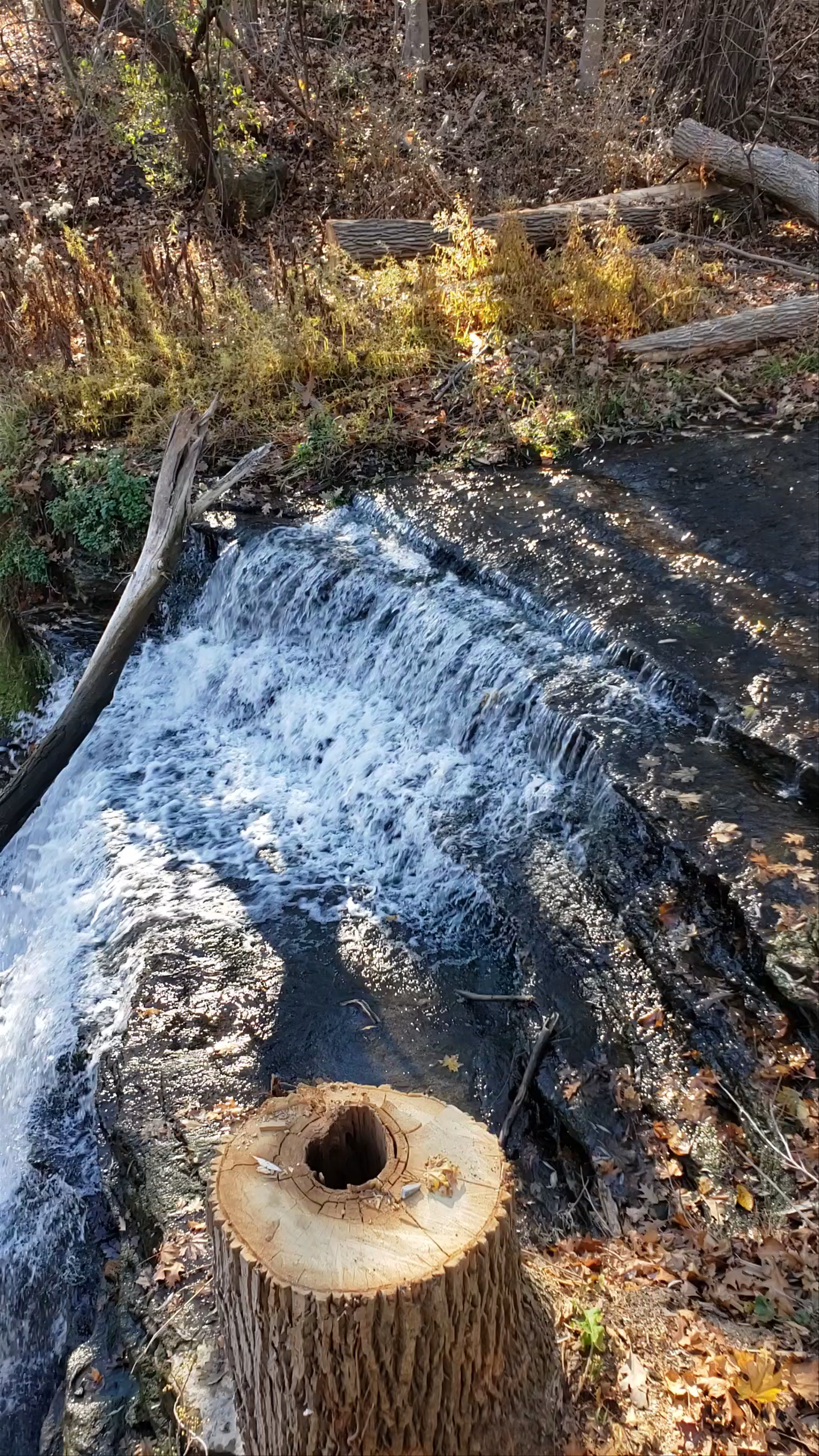 Smokey Hollow Waterfall