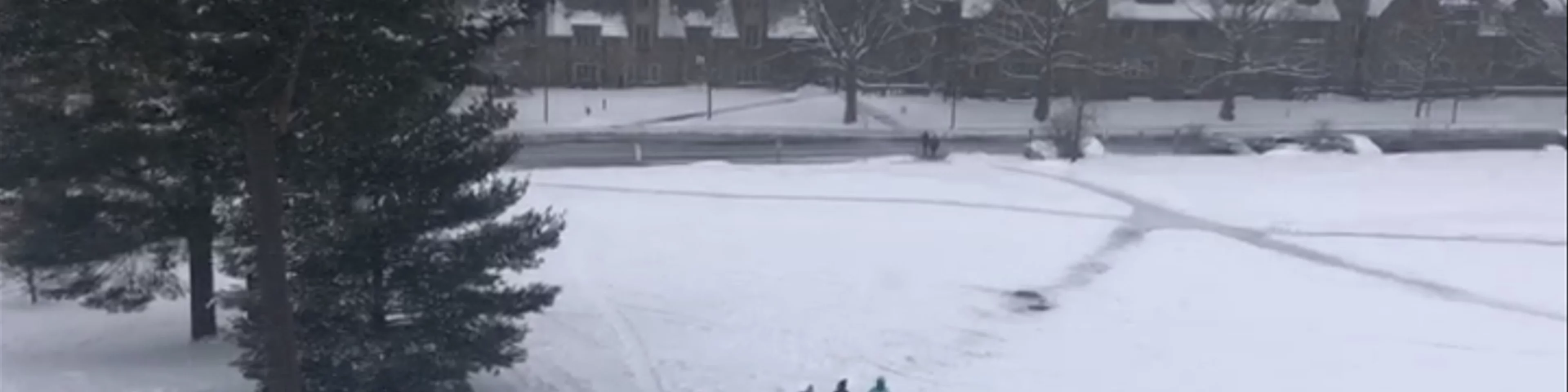 Snowing on Libe Slope