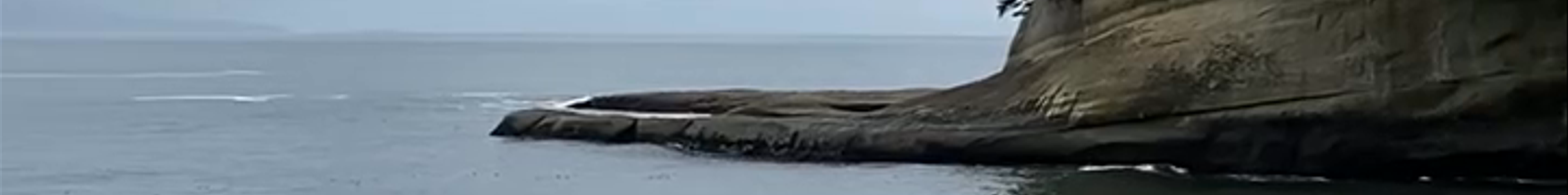 Tours & experiences in Nanaimo