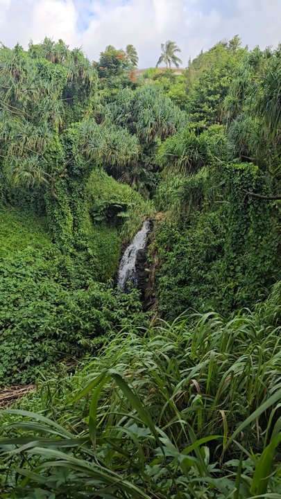 Queen's Bath - Video  - Queen's Bath (Kauai, HI), Sunday, 8/3/2025 - Landmarks & Historical Buildings Near Me - Princeville, Hawaii