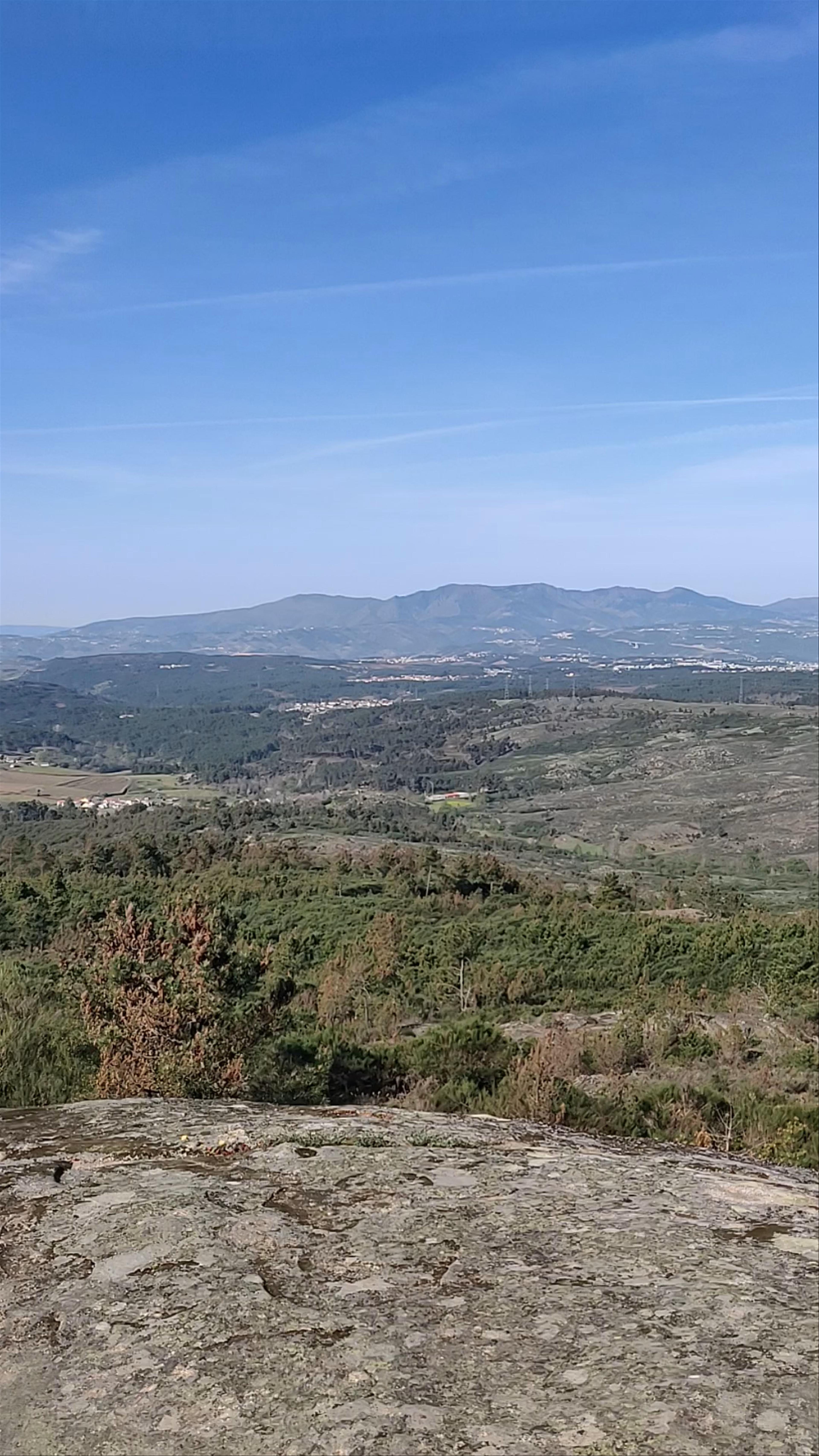 Baloiço reino maravilhoso