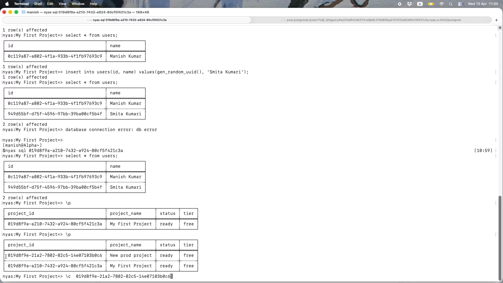 Nyas DB image 1