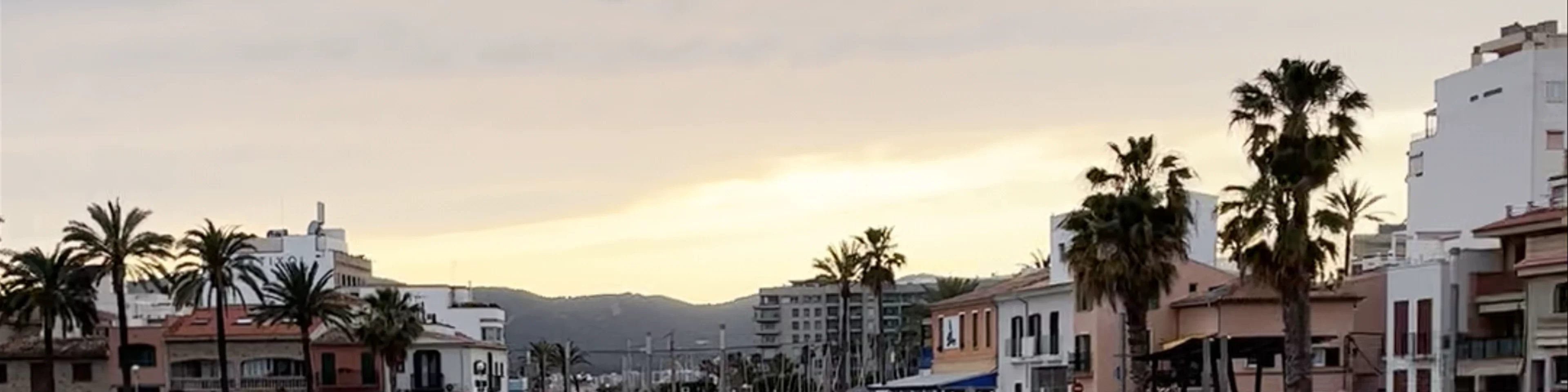 Platja del Portixol