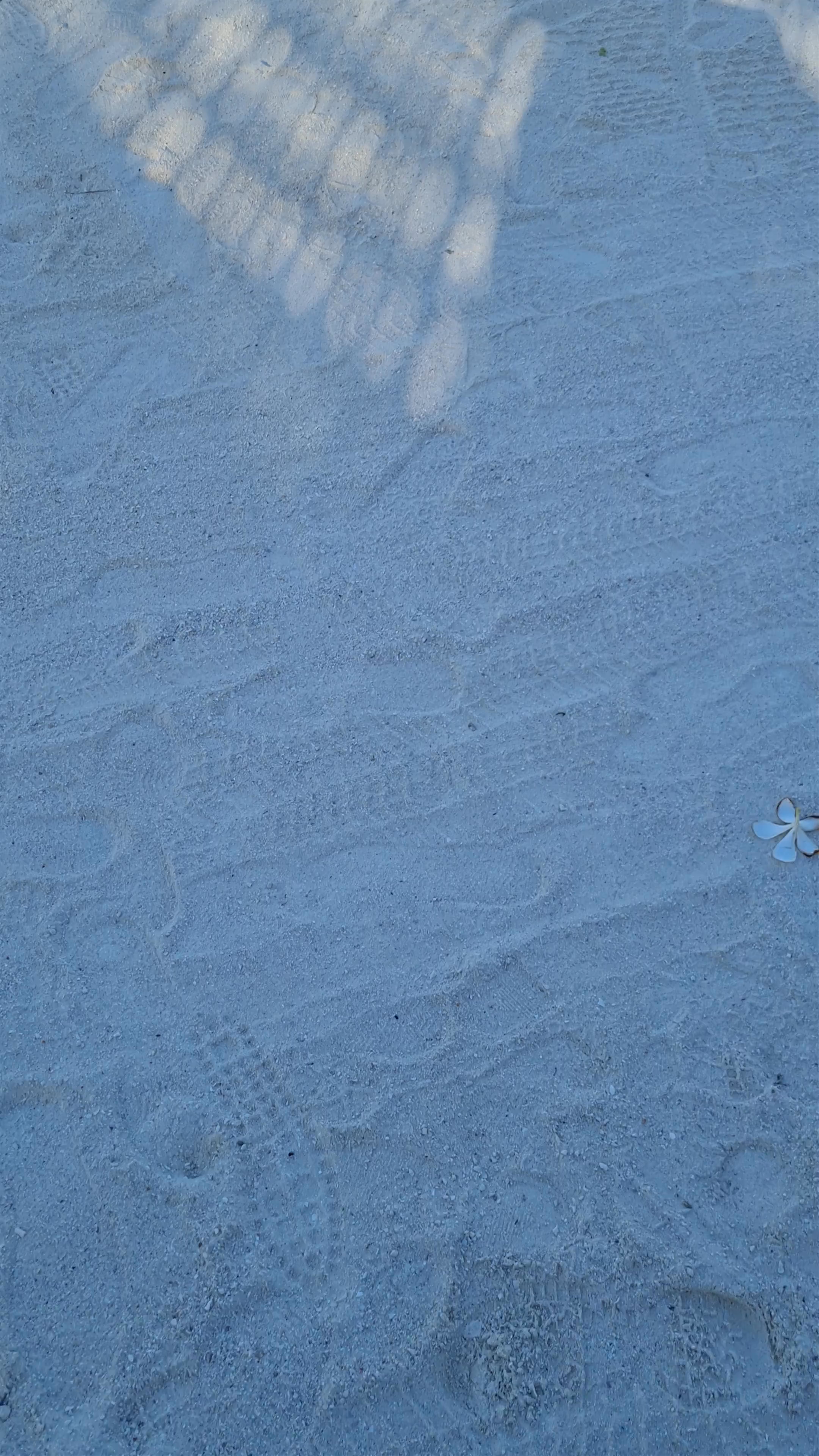 The St. Regis Red Sea Resort