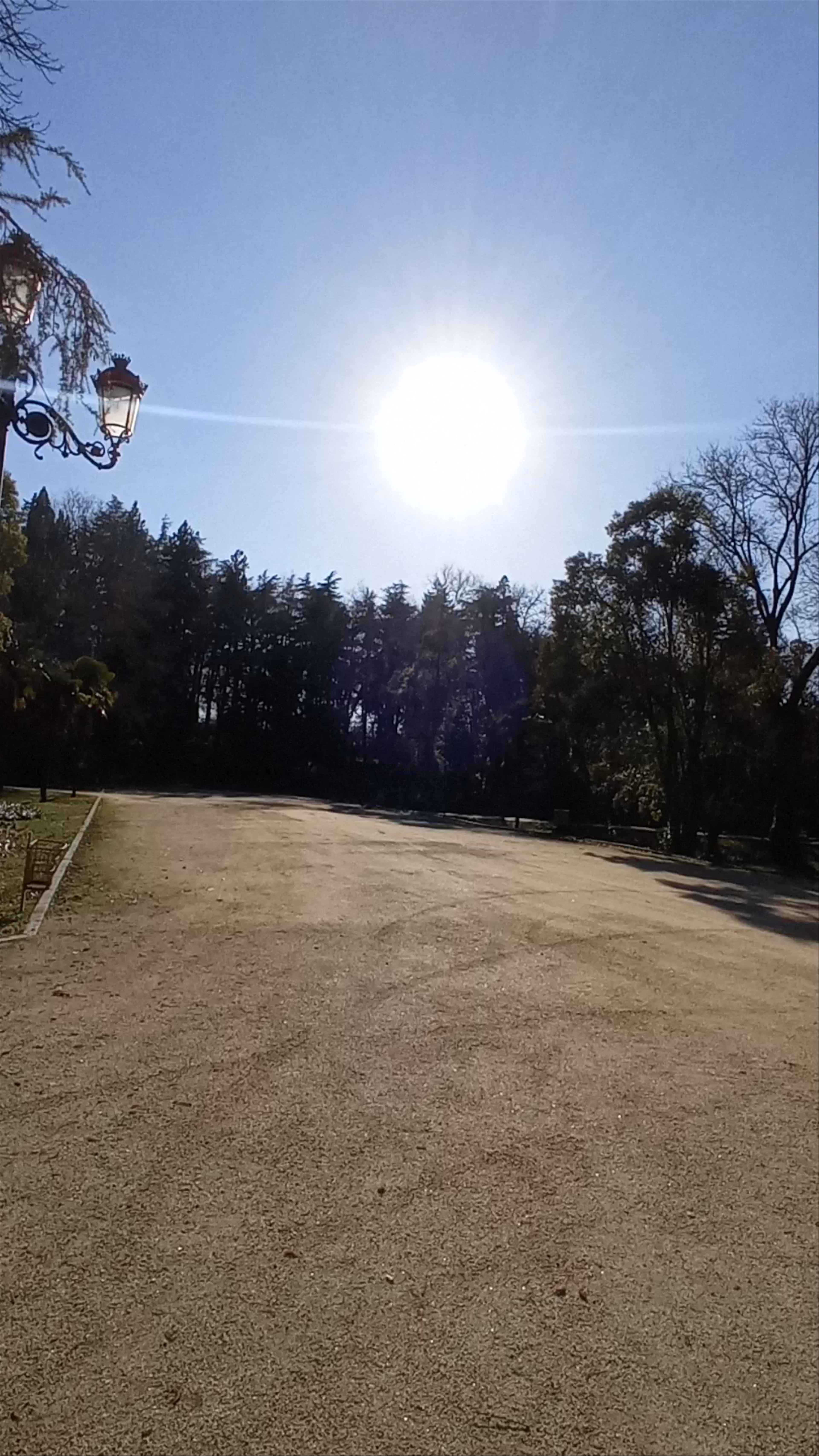 Sunlit Serenity at Campo del Moro, Madrid