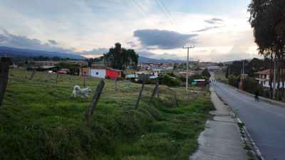 Sur la route de l'or