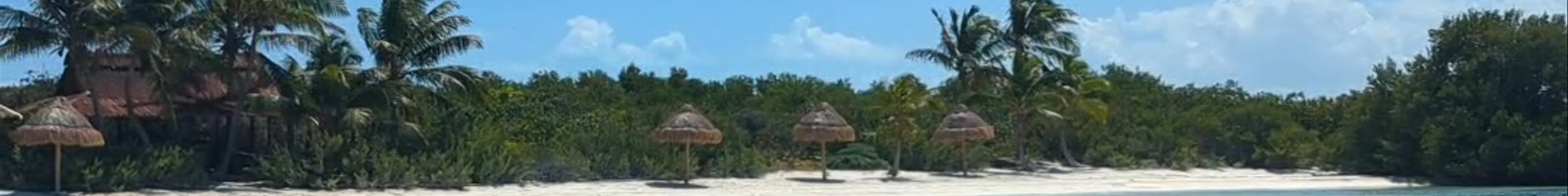 Tours & experiences in Isla Mujeres
