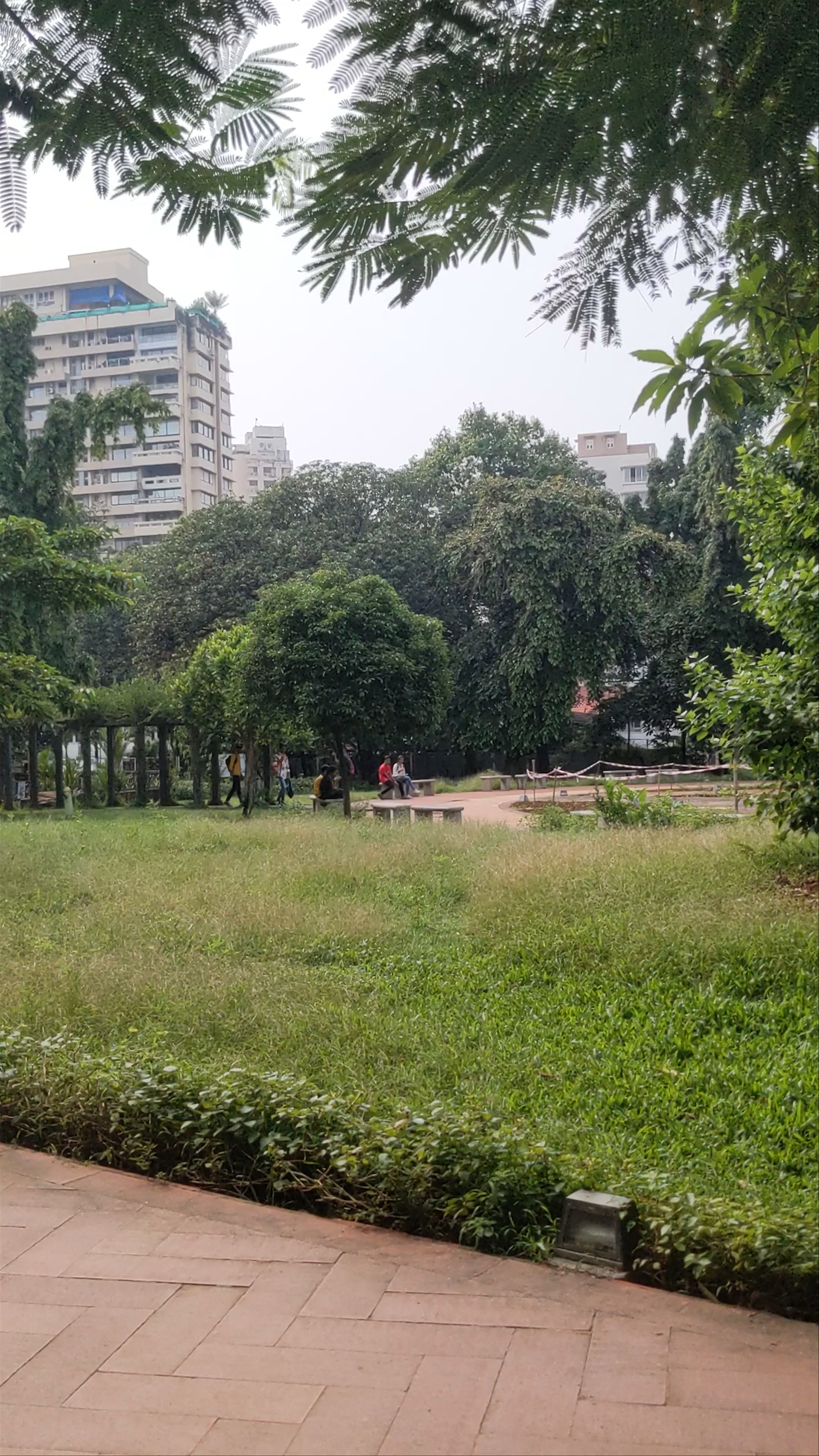Malabar Hill View Point: Urban Green Escape in Mumbai