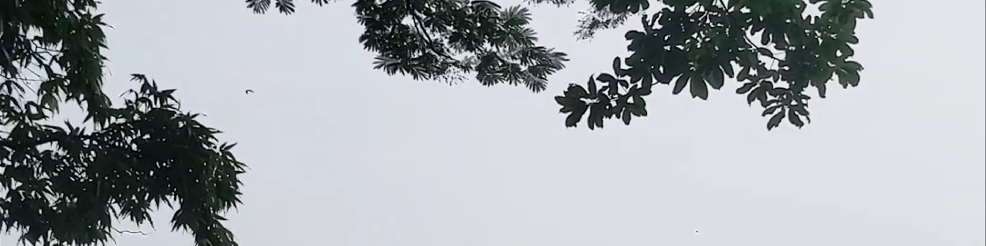 Malabar Hill View Point