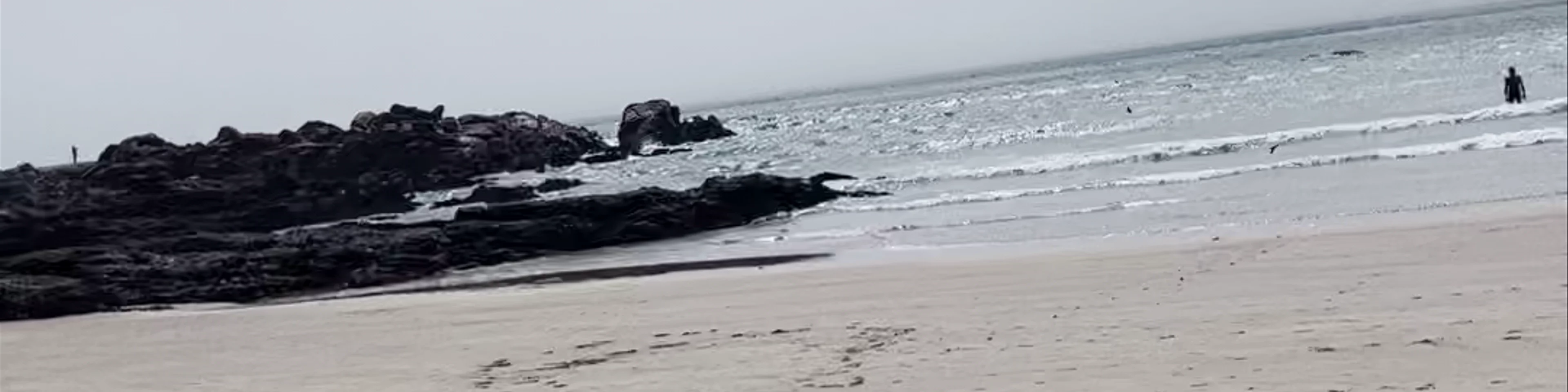 Praia de Matosinhos