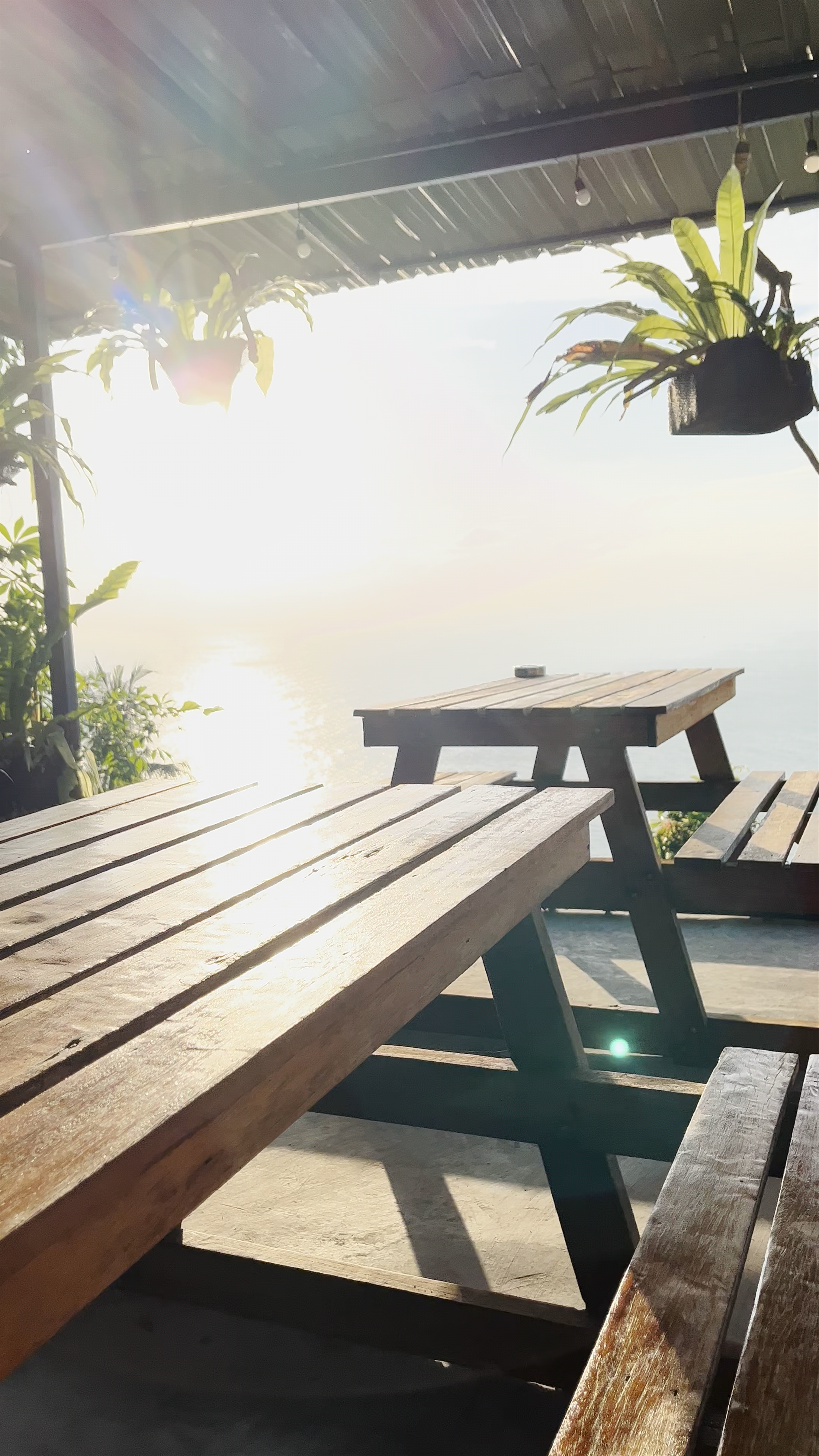 The Dearly Koh Tao Hostel Chalok Baan Kao