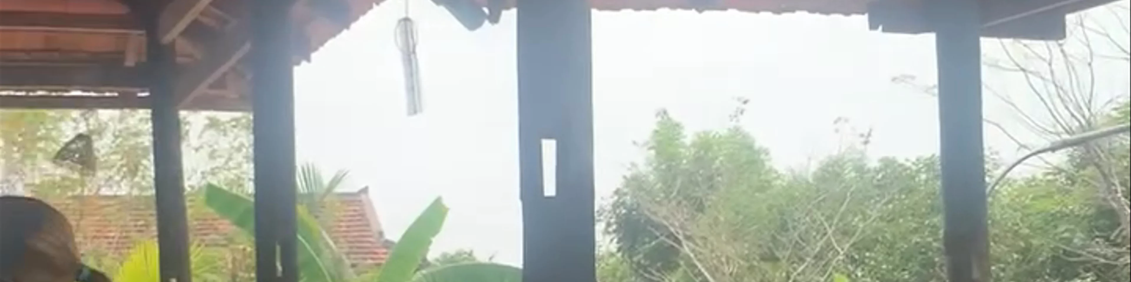 La Plantation