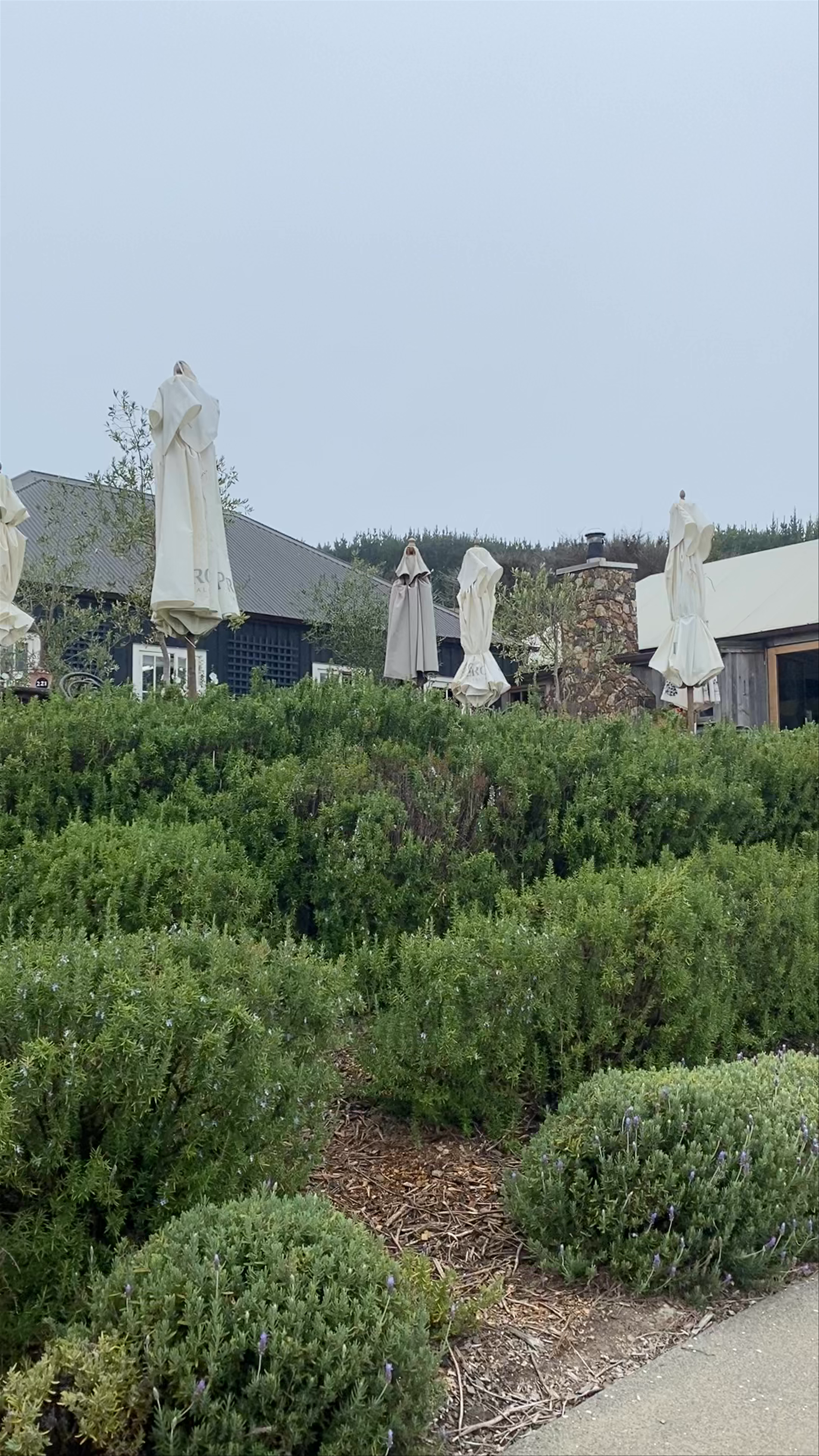 Mudbrick Vineyard and Restaurant Church Bay Road