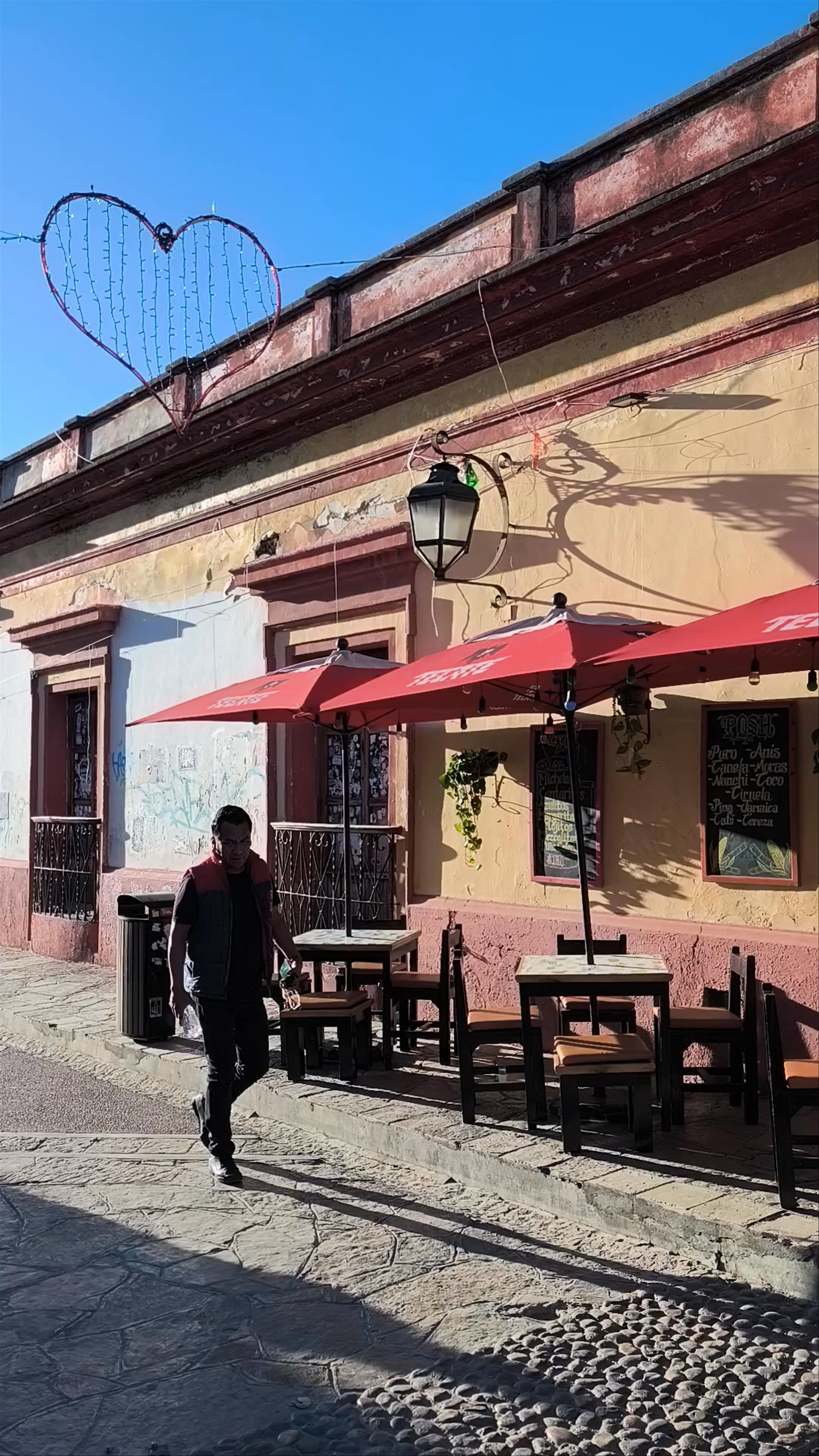 Andador De Guadalupe