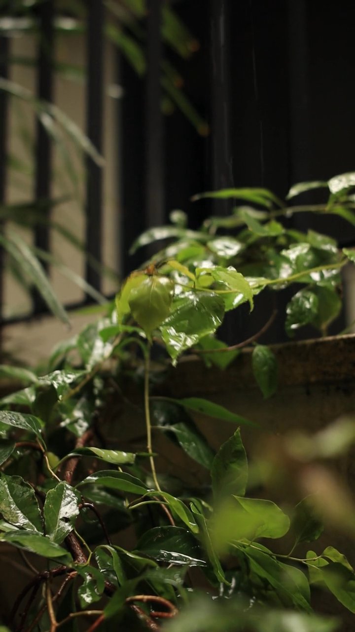 深呼吸しよう🌿
🎥 Orhan Pergel · Pexels
#癒し #リラックス #自然 #relax #healing