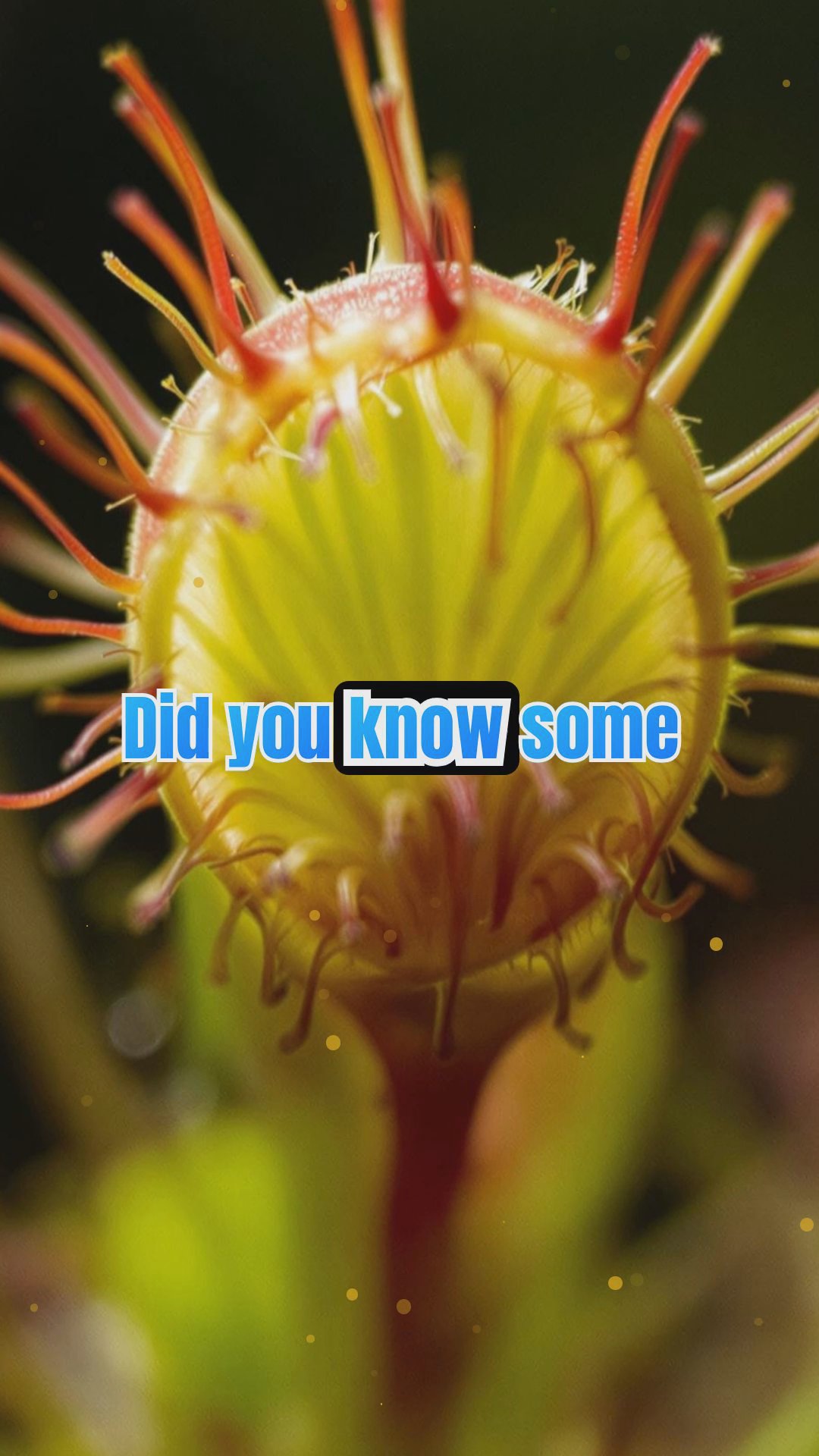 The Strange and Wonderful World of Plants